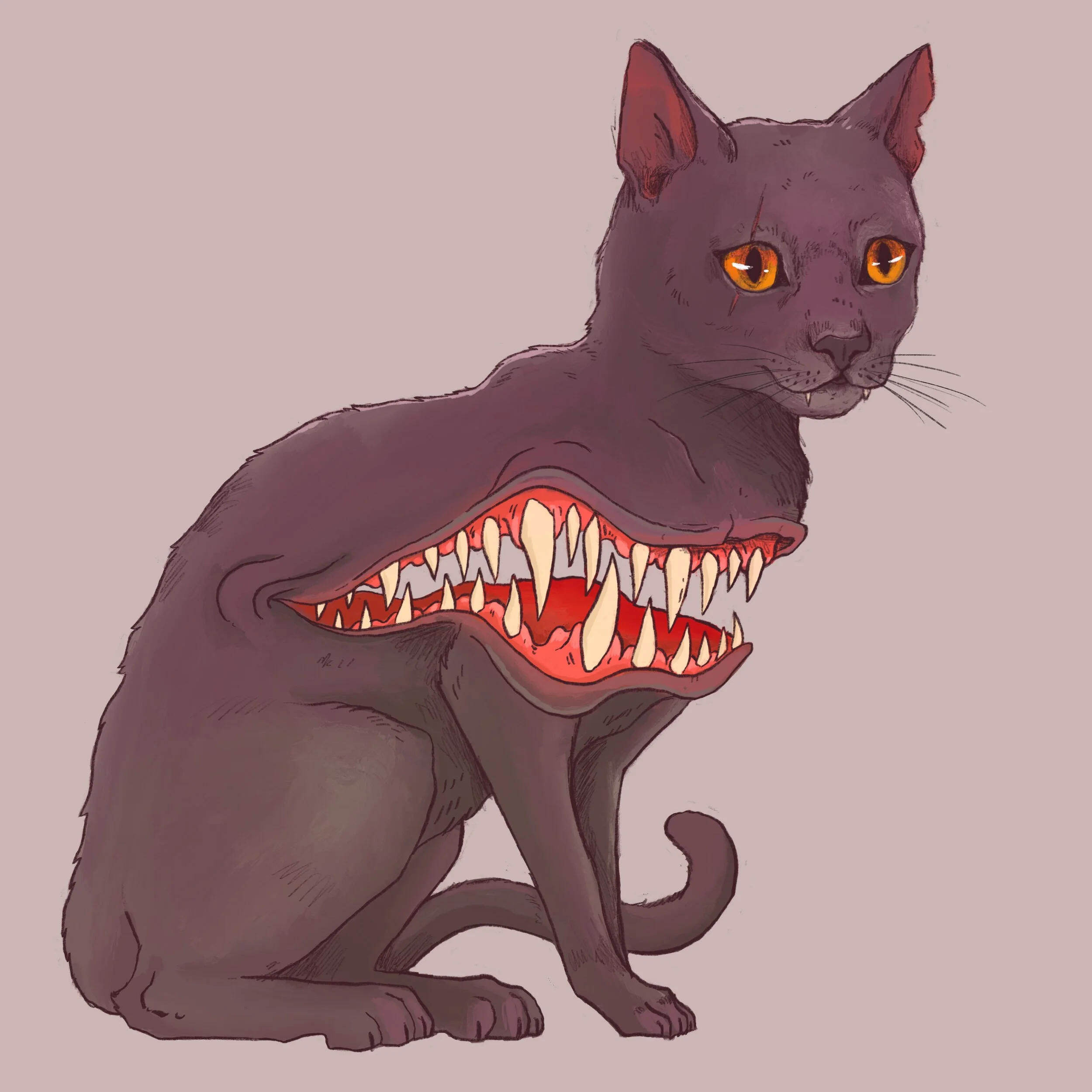 Photo Jan 07, 10 36 04 AM (8).jpg