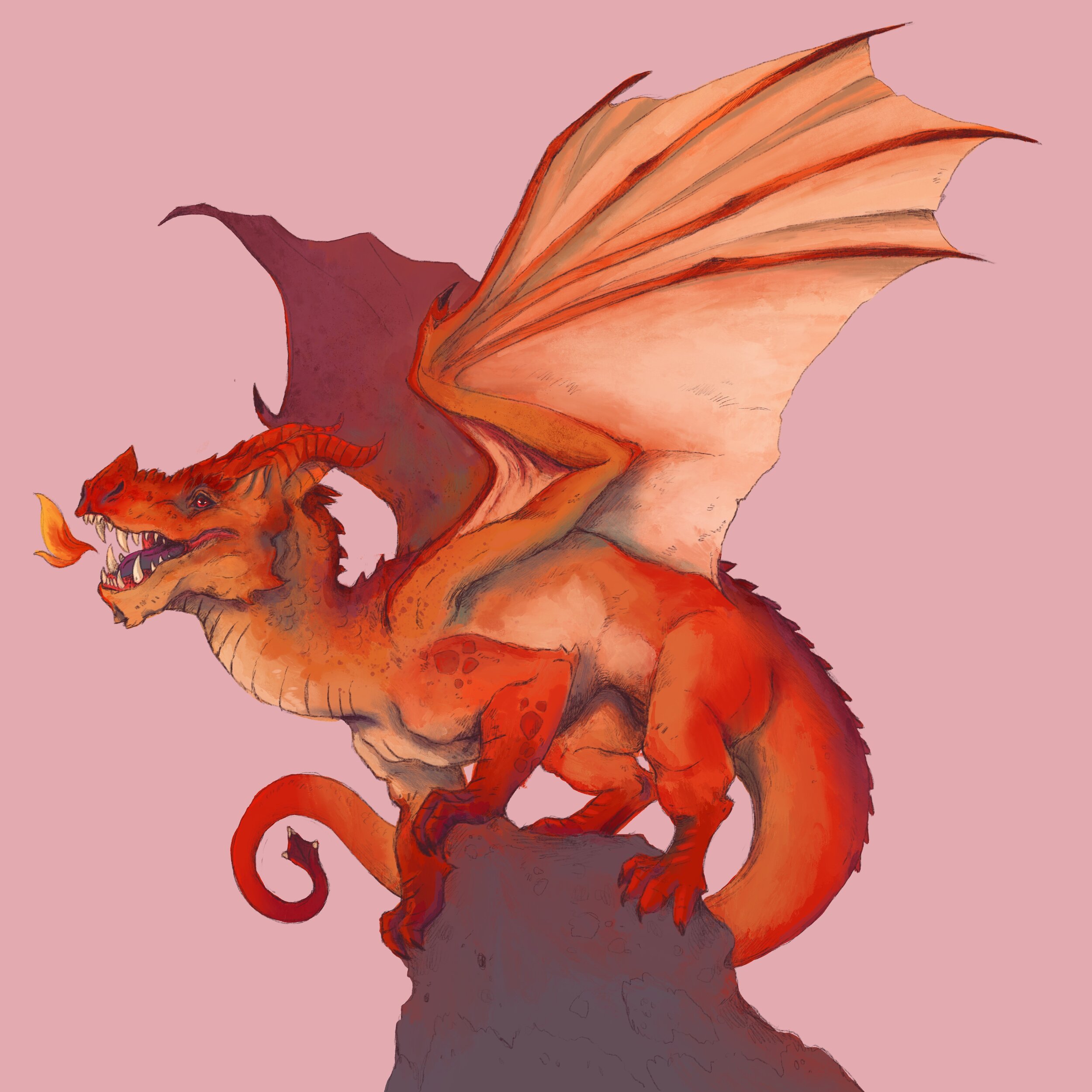 Photo Jan 07, 10 36 04 AM (5).jpg