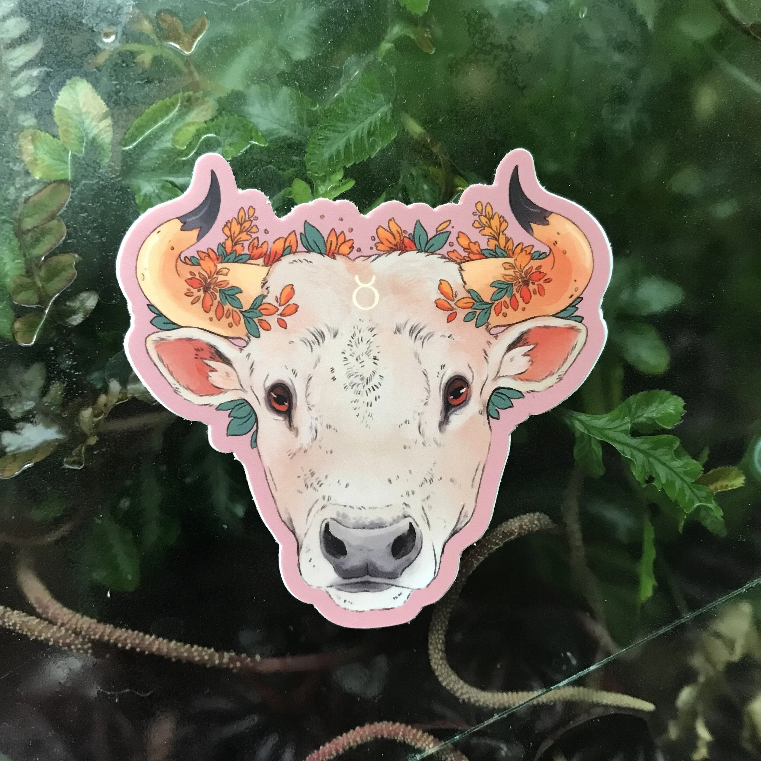 Photo Aug 25, 4 49 39 PM.jpg