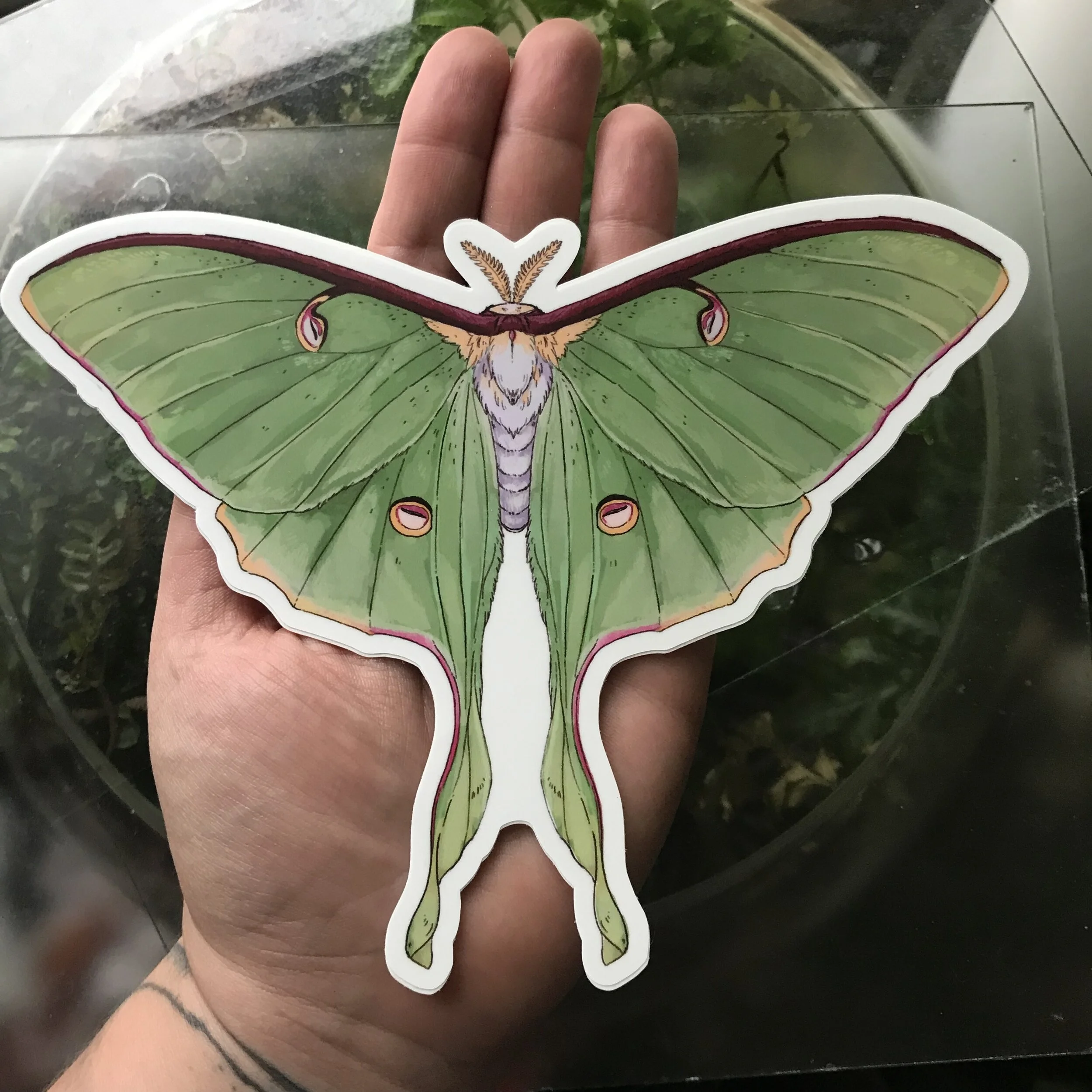 Photo Aug 25, 4 50 28 PM.jpg