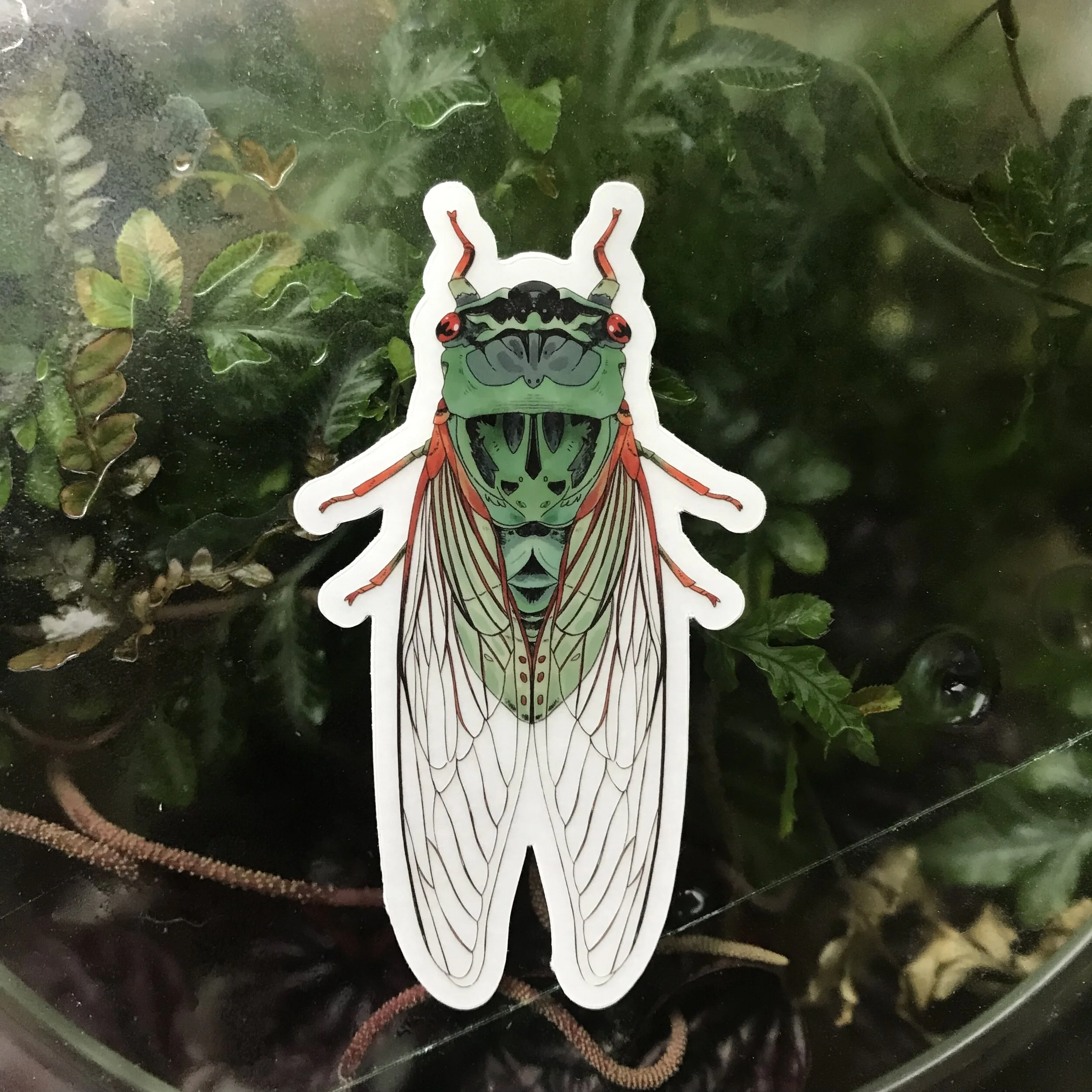 Photo Aug 25, 4 51 32 PM.jpg