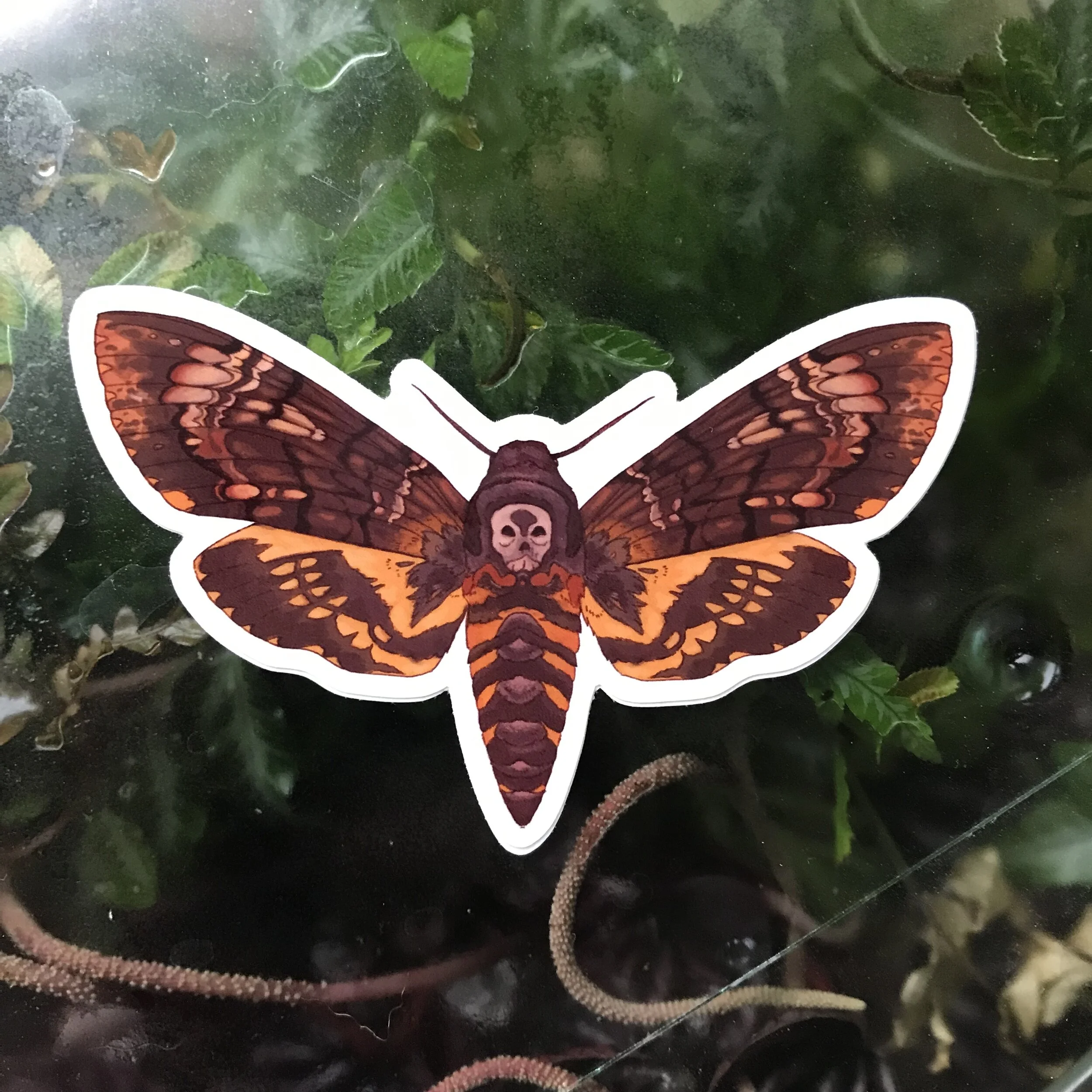 Photo Aug 25, 4 48 28 PM.jpg