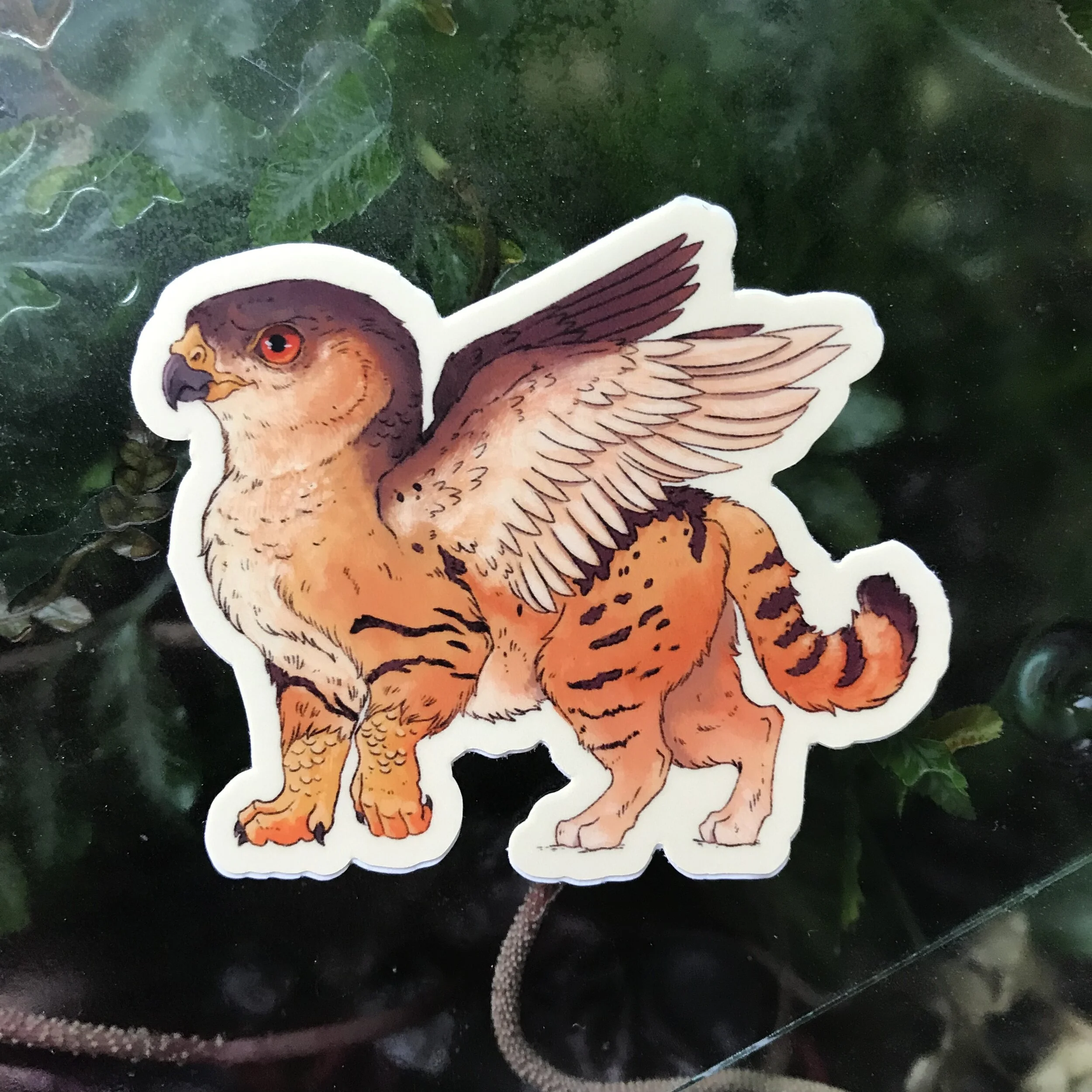 Photo Aug 25, 4 44 13 PM.jpg