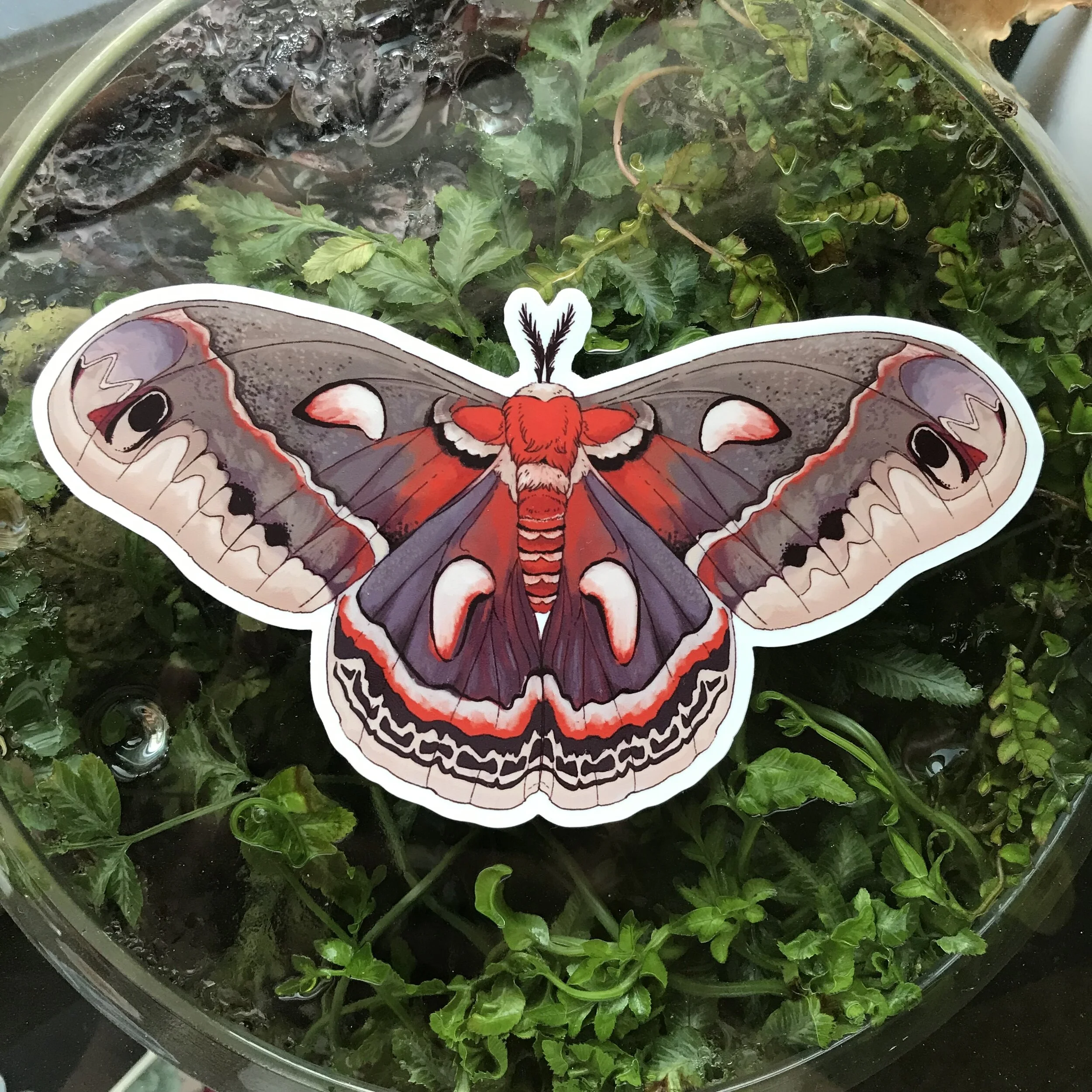 Photo Sep 30, 3 59 20 PM.jpg