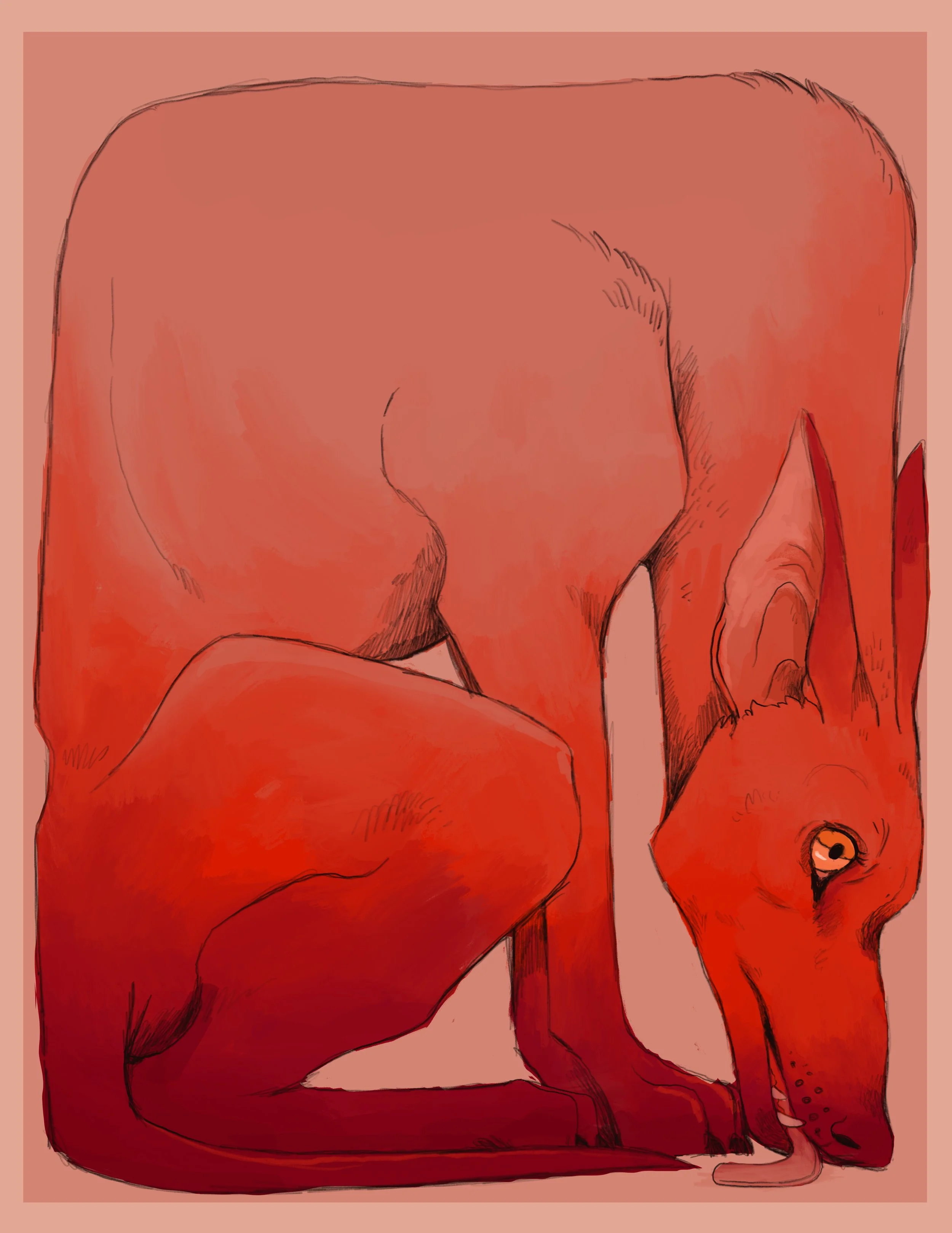 Photo Nov 19, 2 31 20 PM (1).jpg