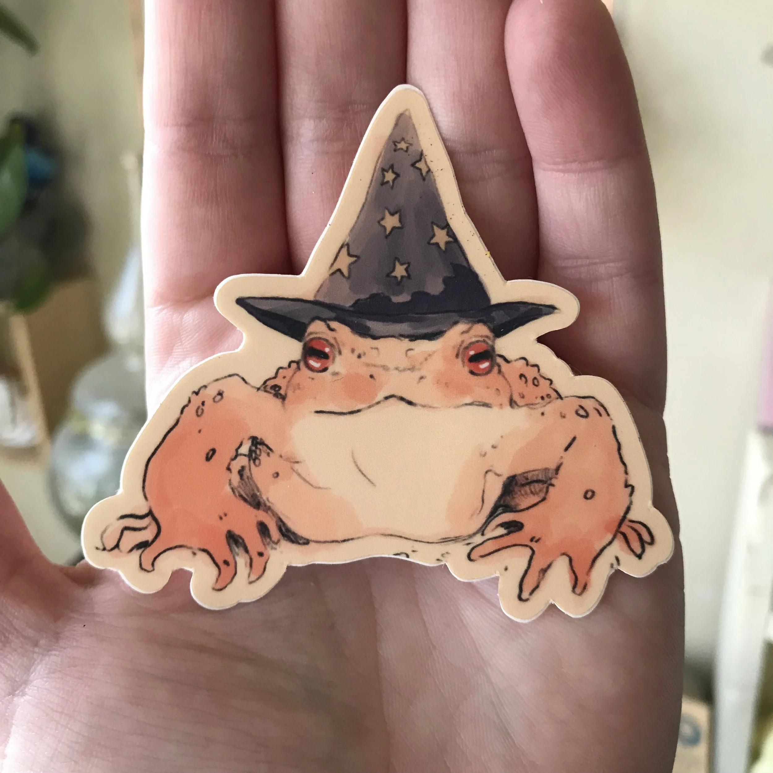 Photo Nov 17 2023, 11 07 29 AM.jpg