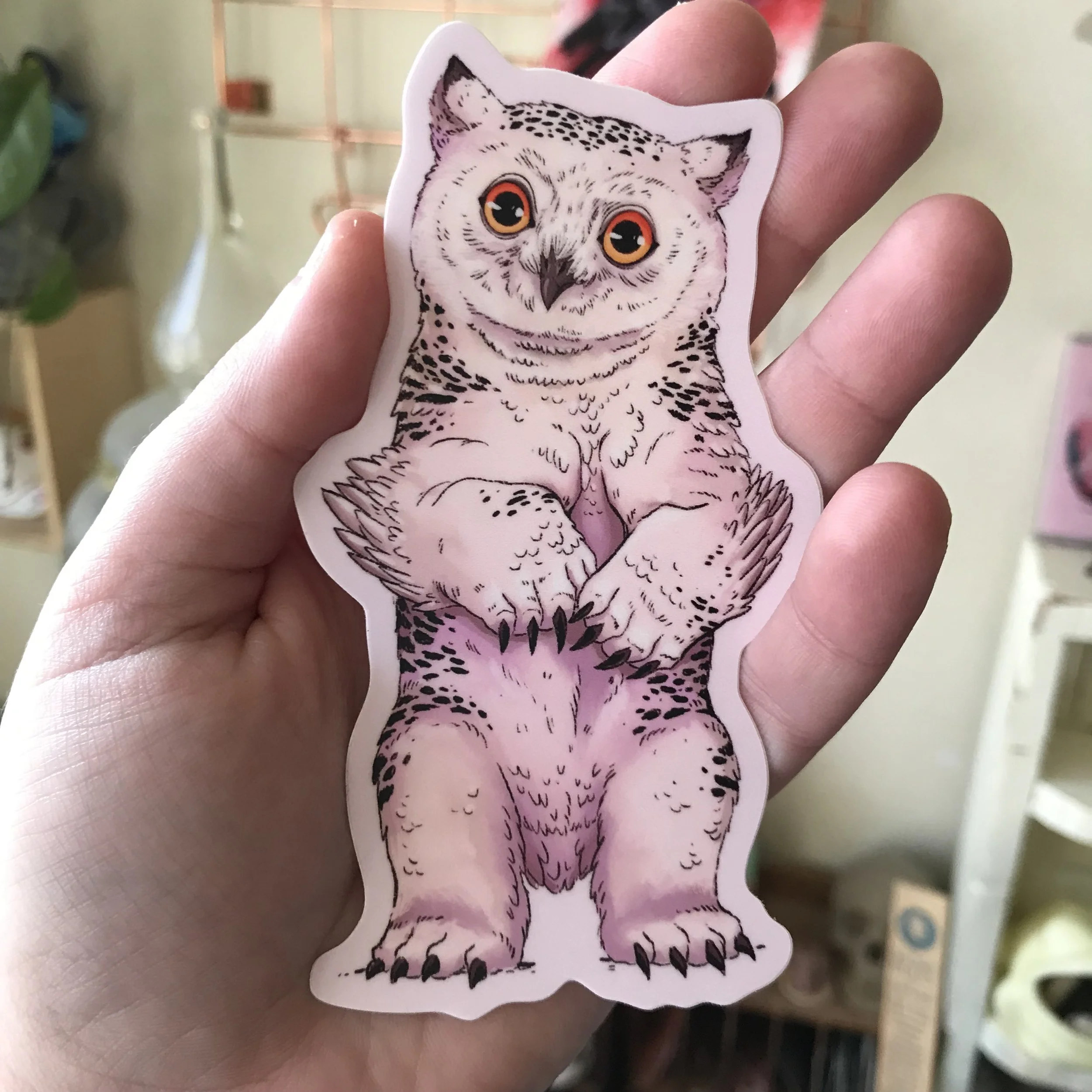 Photo Nov 17 2023, 11 08 15 AM.jpg