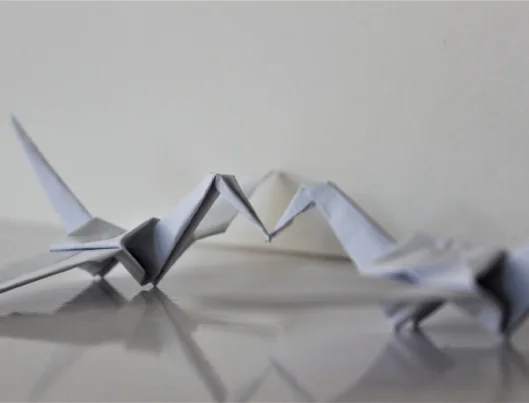 origami.jpg