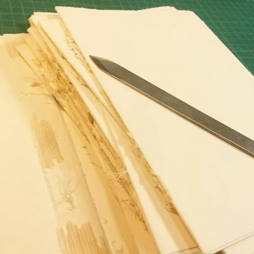 papier avant reliure.jpg