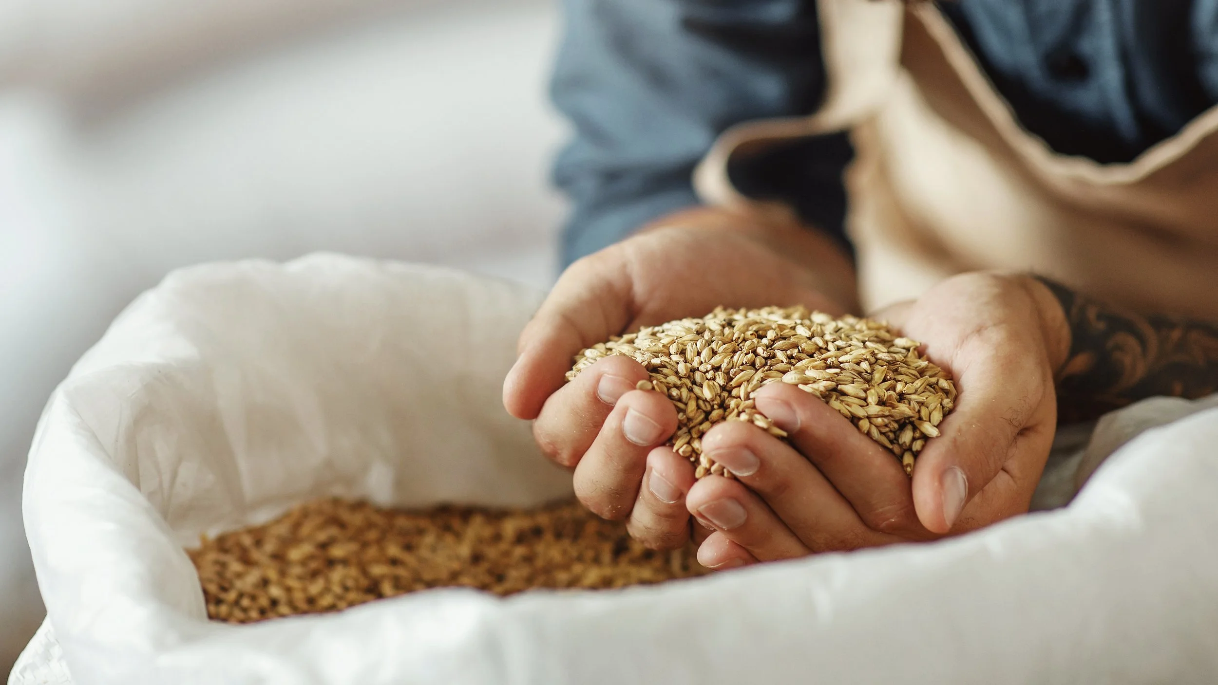 From Grain to Glass, where does it Start? Article 1