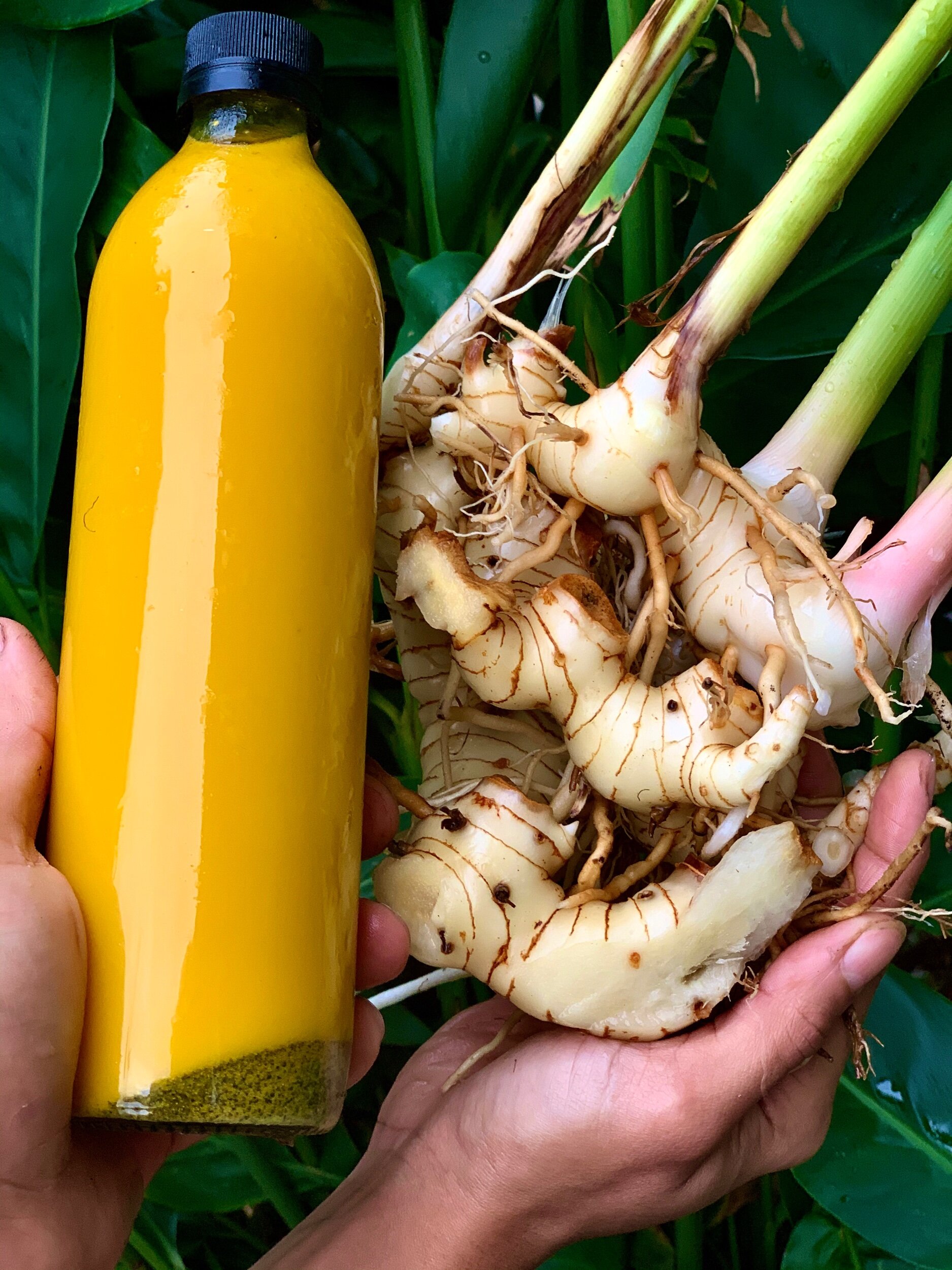 E585272A-91F1-416B-BBB8-8273E741F6EC