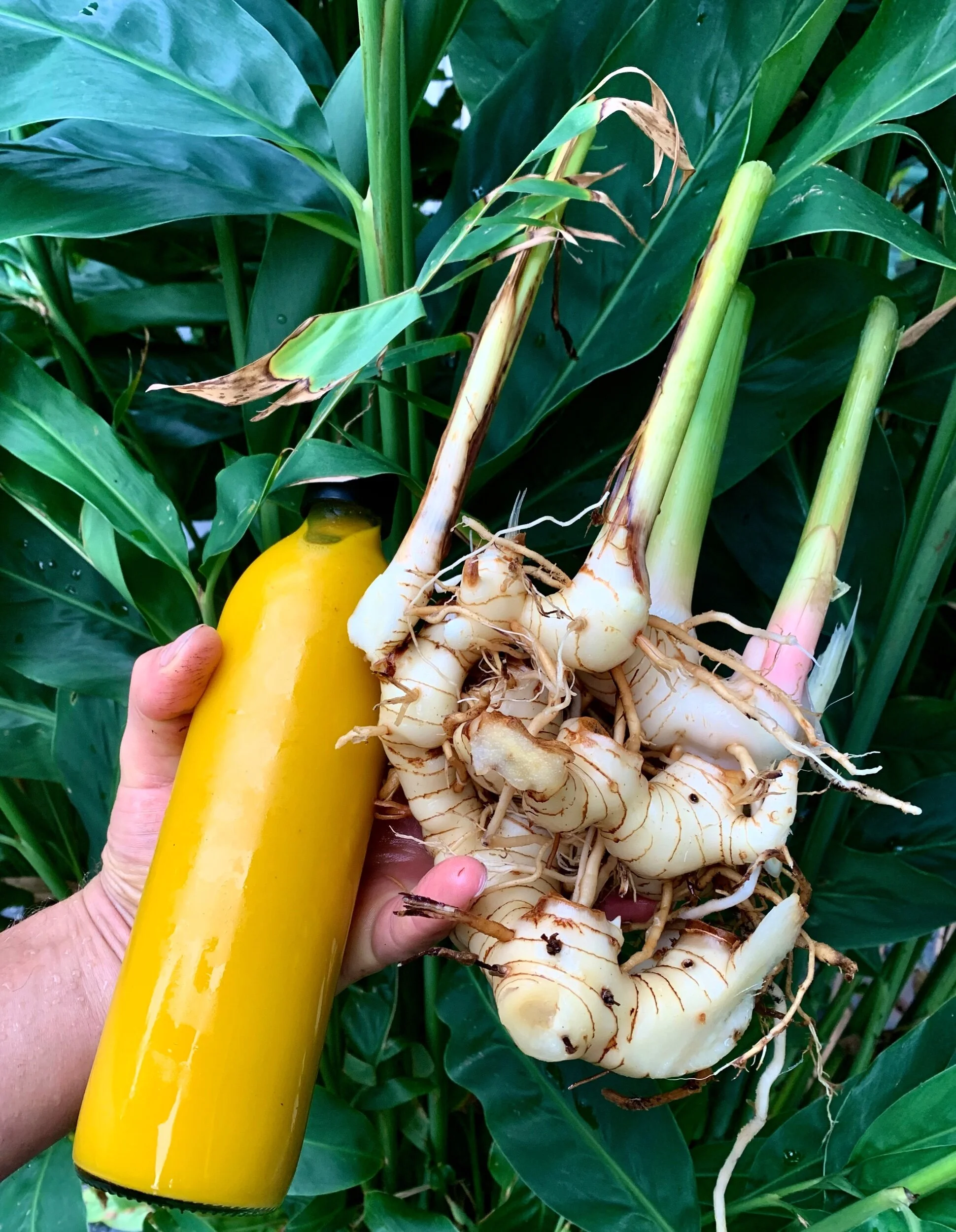 8136CDF8-F264-4177-8EDD-A8176EF23D9B