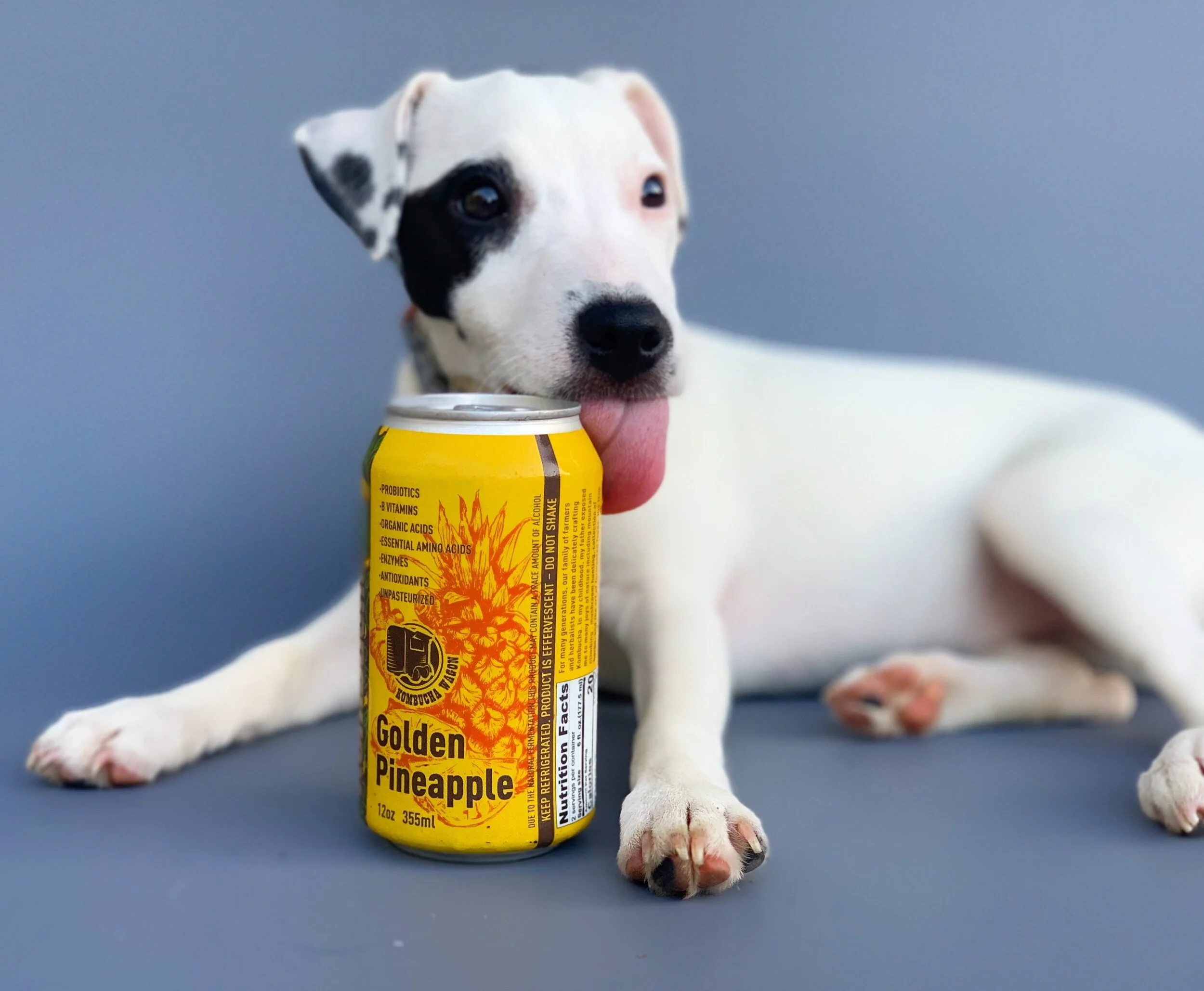 8308D957-2199-494E-A0EA-F27EDCF9344E