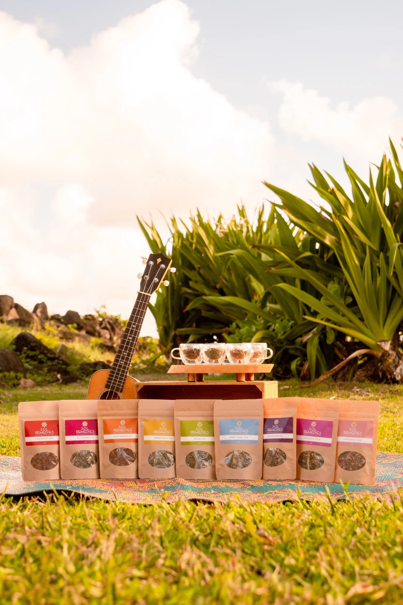 Nine pouches of Sol Remedies teas in a rainbow of label colors placed on green grass in front of leafy bushes