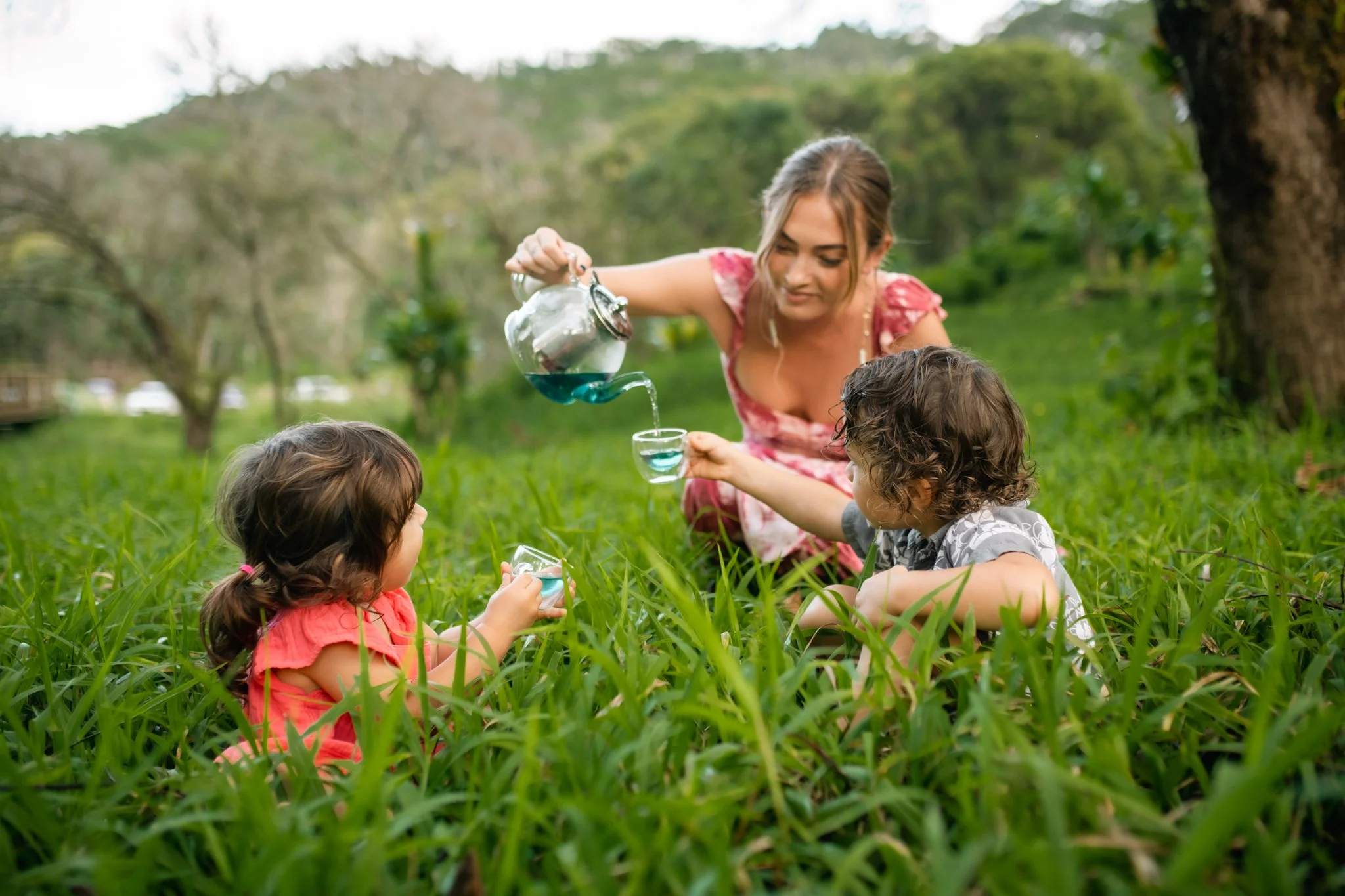 local tea kauai.jpeg