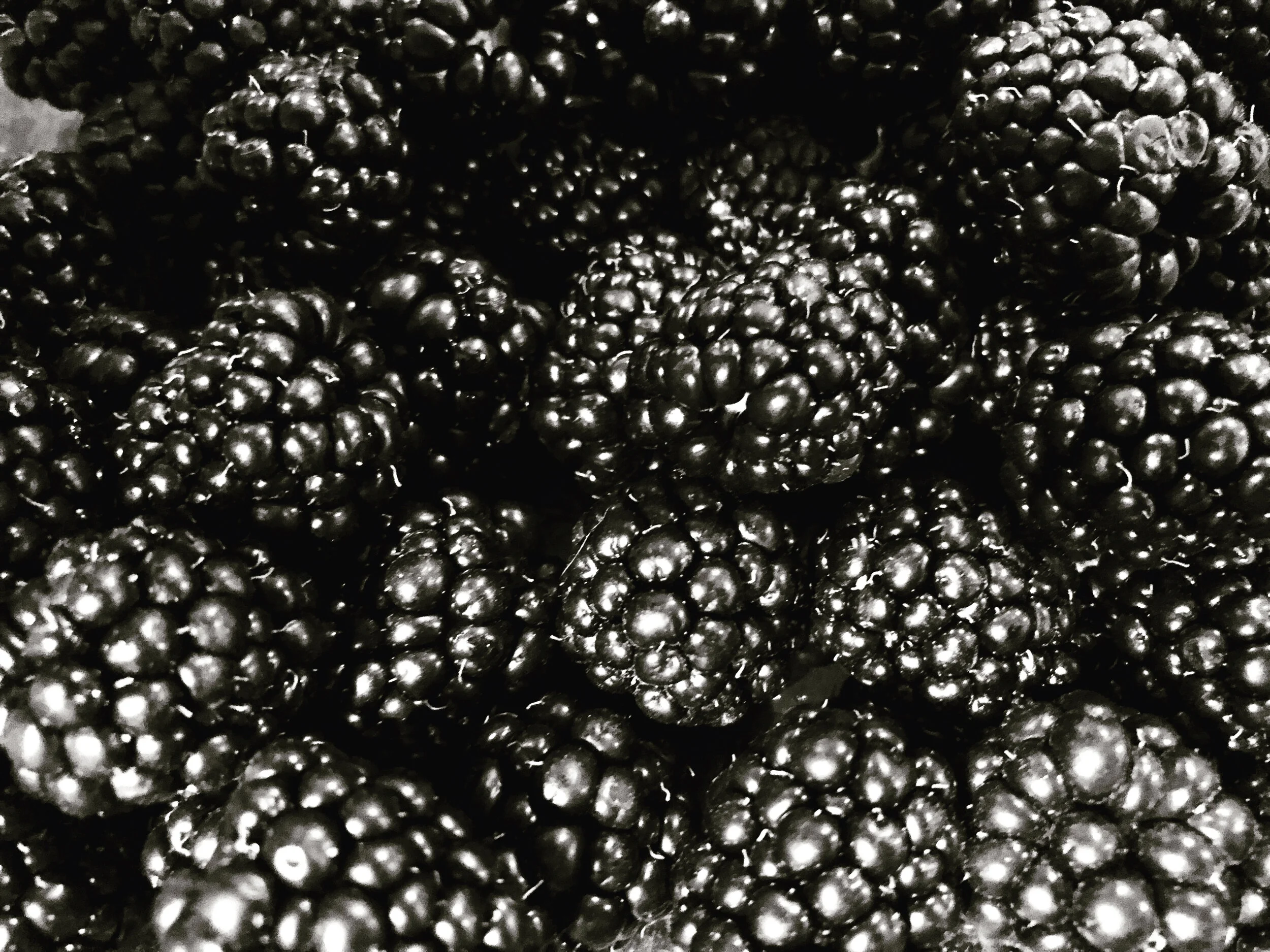 A thought on blackberries.
