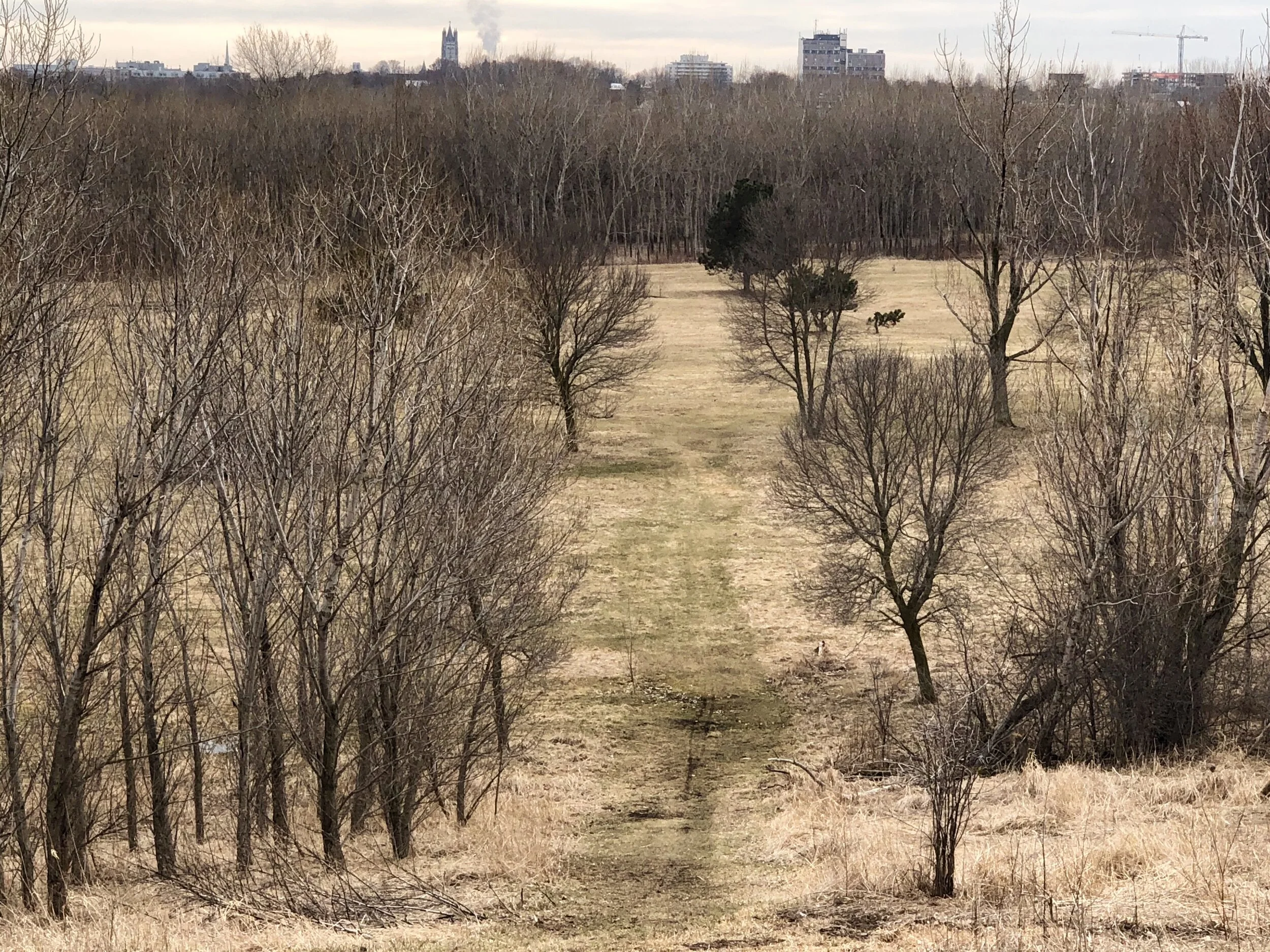 Belle Park