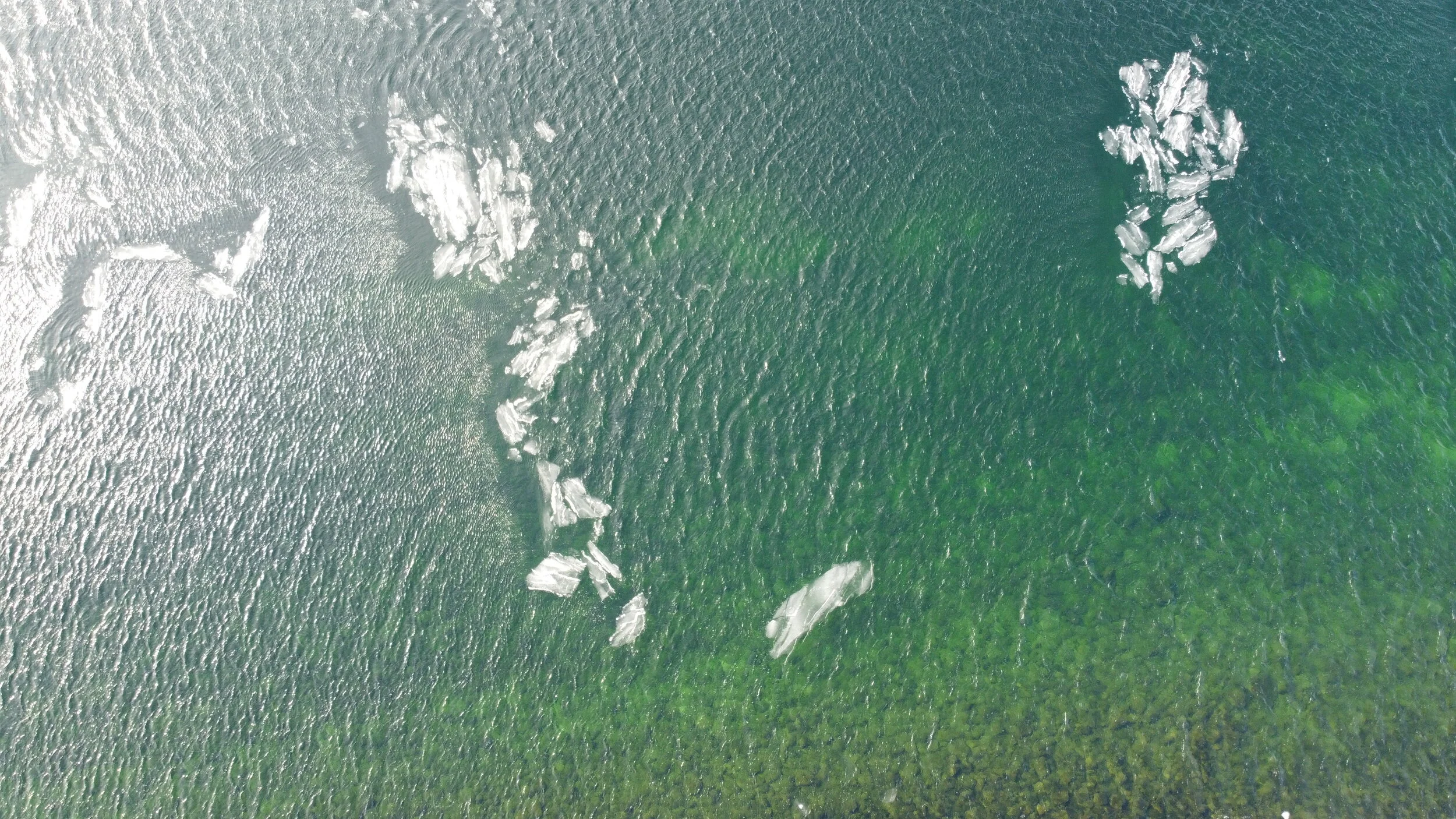 True Story - The Getaway Vehicle