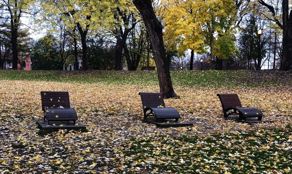 How We Use Our Parks