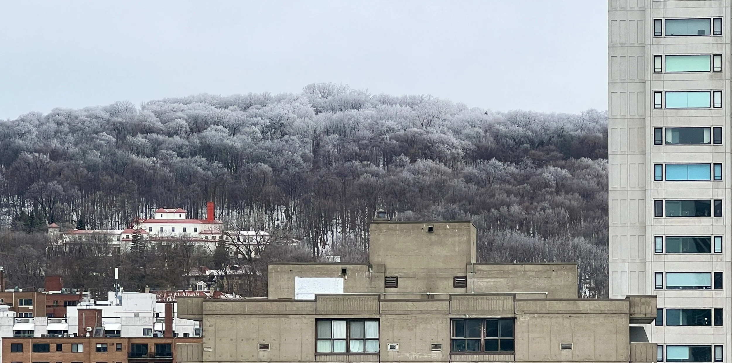 Frost