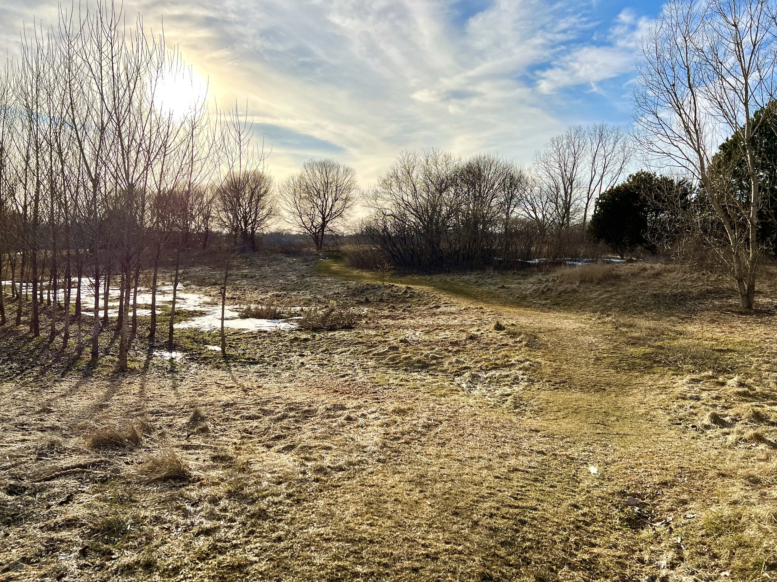 The Belle Park Meadows