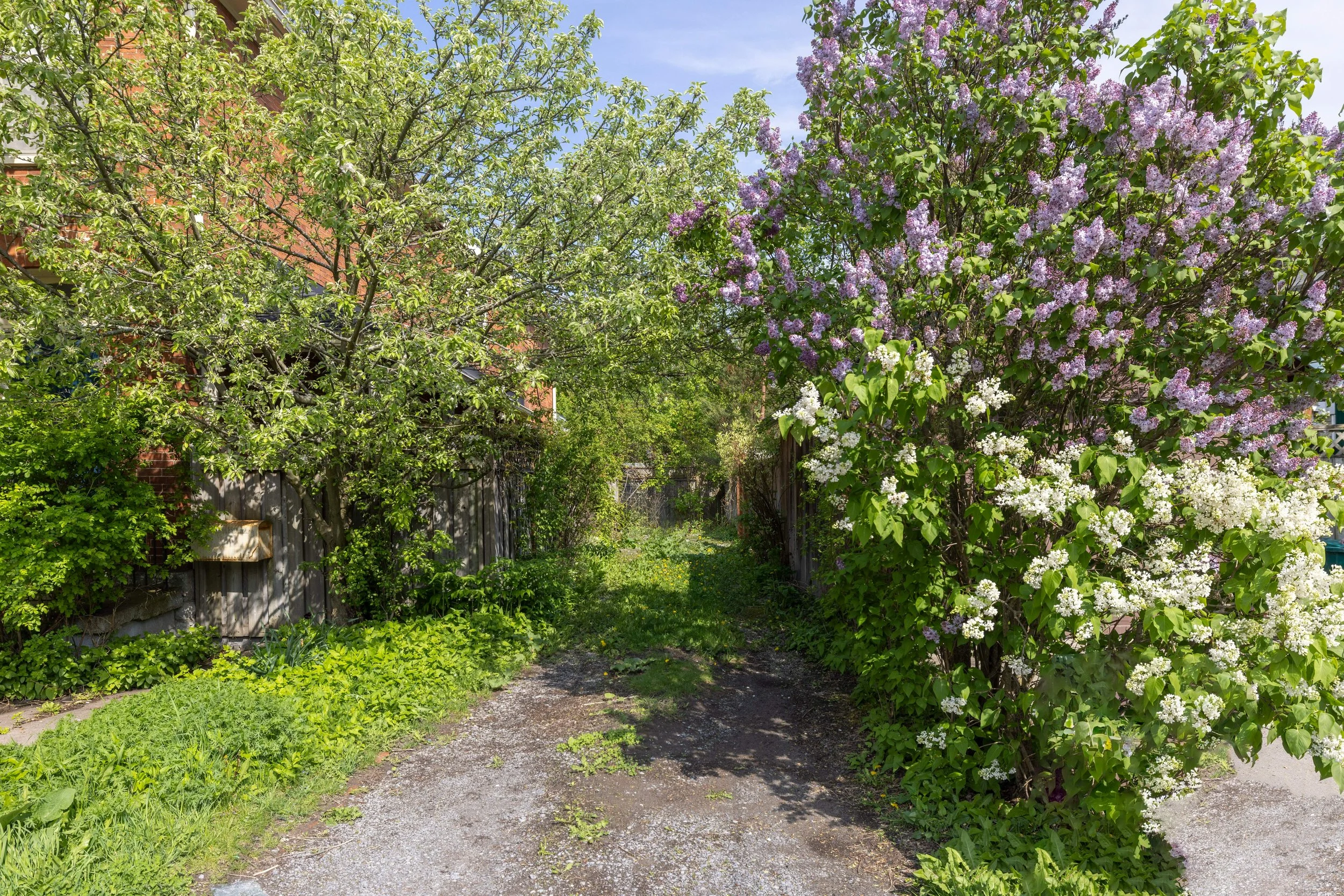 051-79 Colborne (14 of 14).jpg