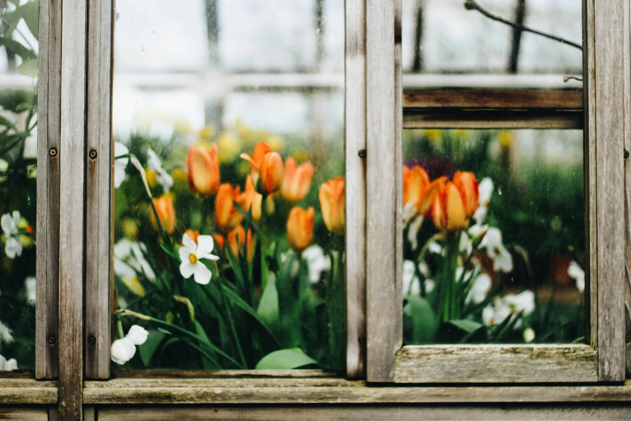 unsplash-image-udKvxHsTBwA.jpg