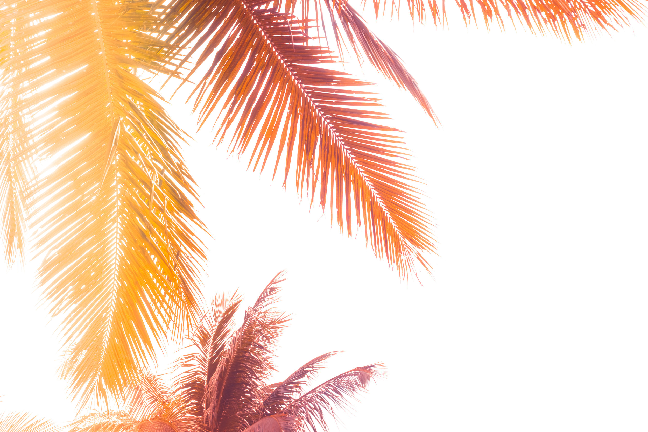 AdobeStock_197055818.jpeg