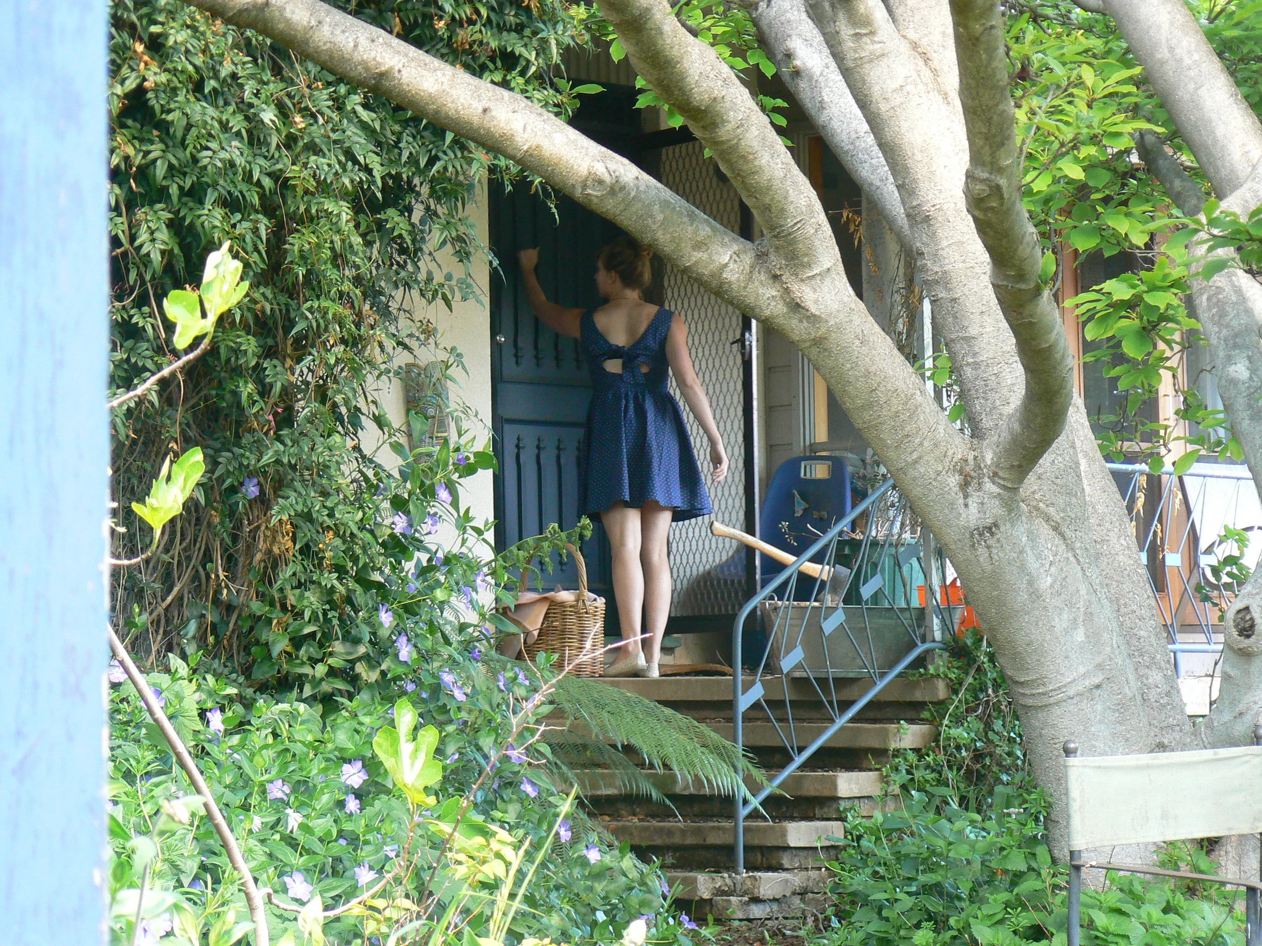P1160466.JPG