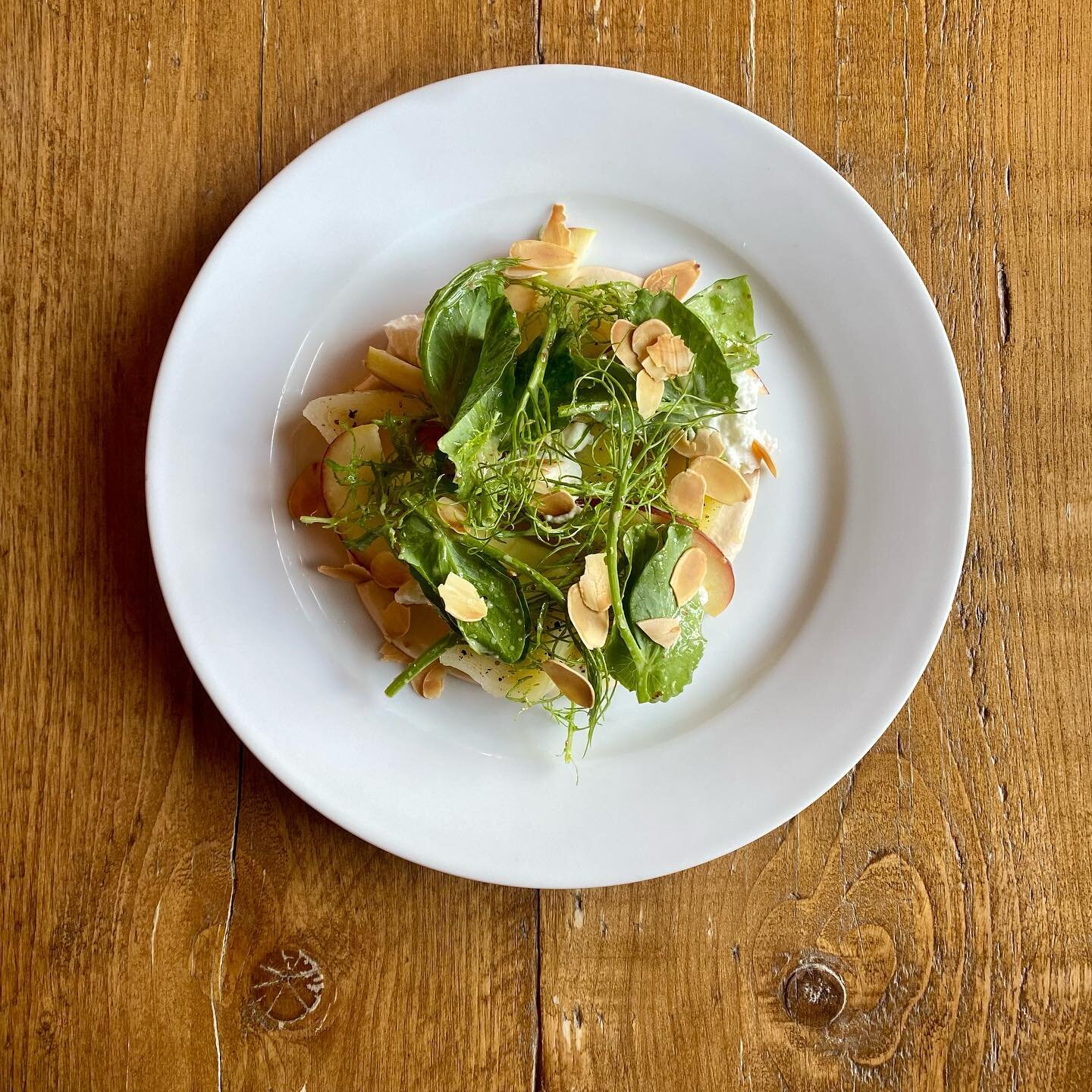 🌱Salad of Pea shoots, Leeks, Almonds, Apple &amp; Goat&rsquo;s Curd 🌱Come and try it for yourself, we&rsquo;ve got some tables spare so book yourself in online or give us a call 🥂