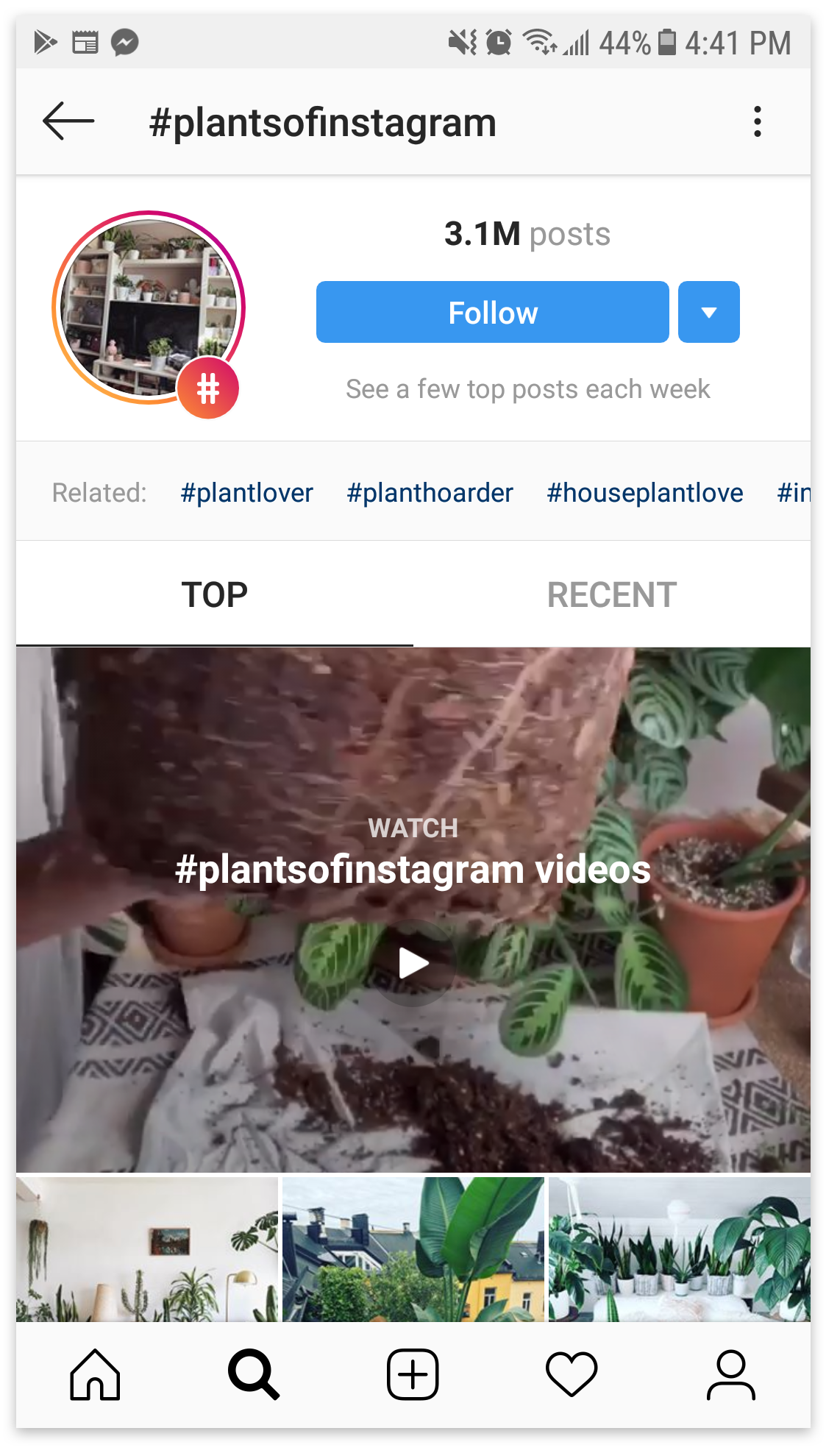 Plantsofinsta.png