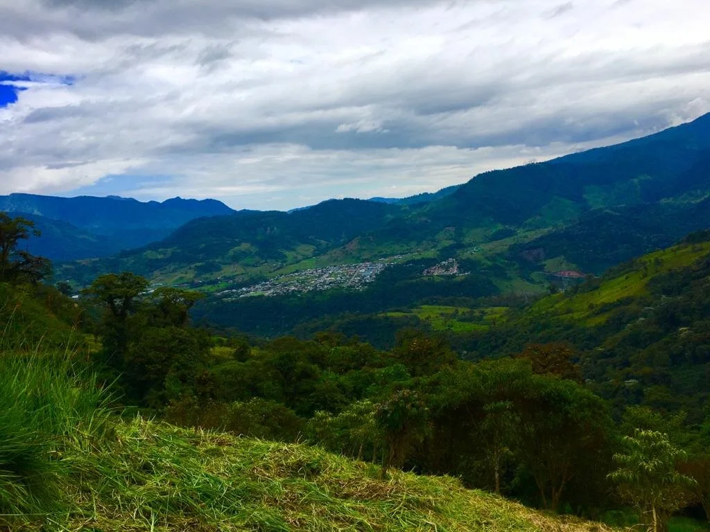 Announcing Aliados' New Partnership with Nature for Justice