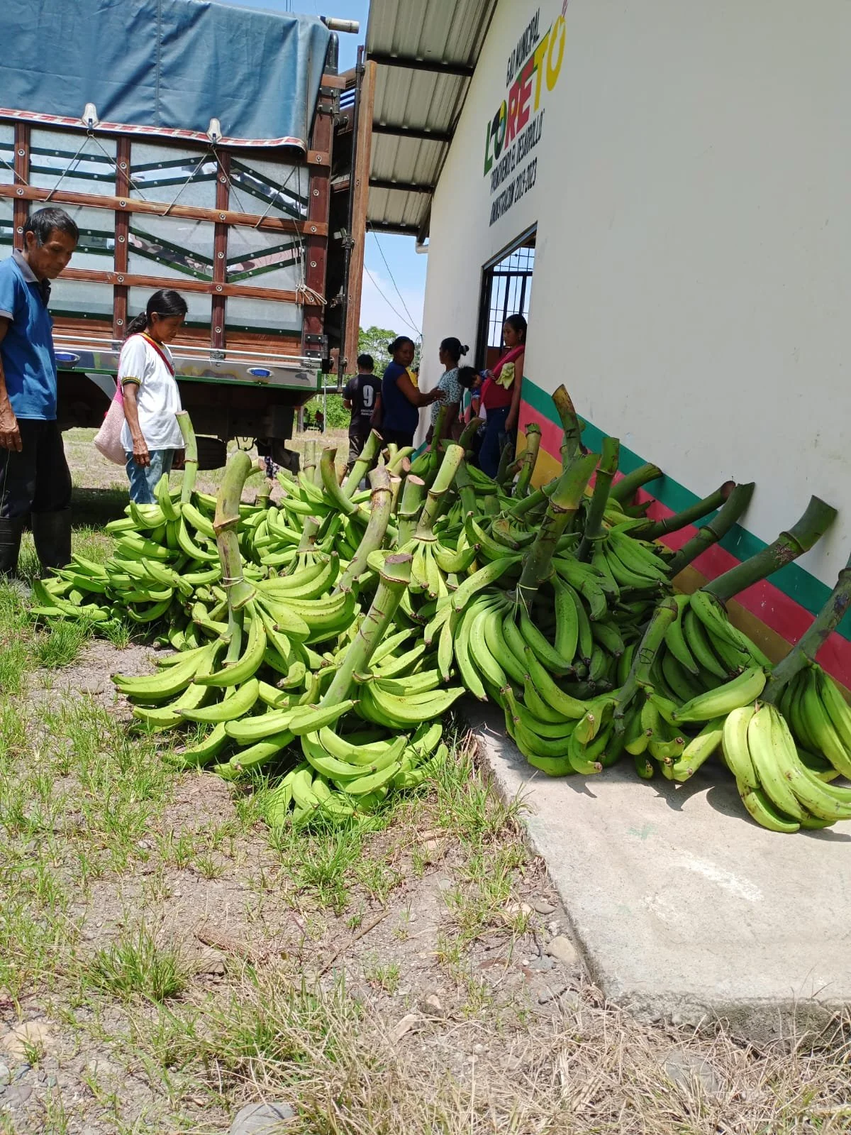 Connecting indigenous businesses to the green plantain value chain
