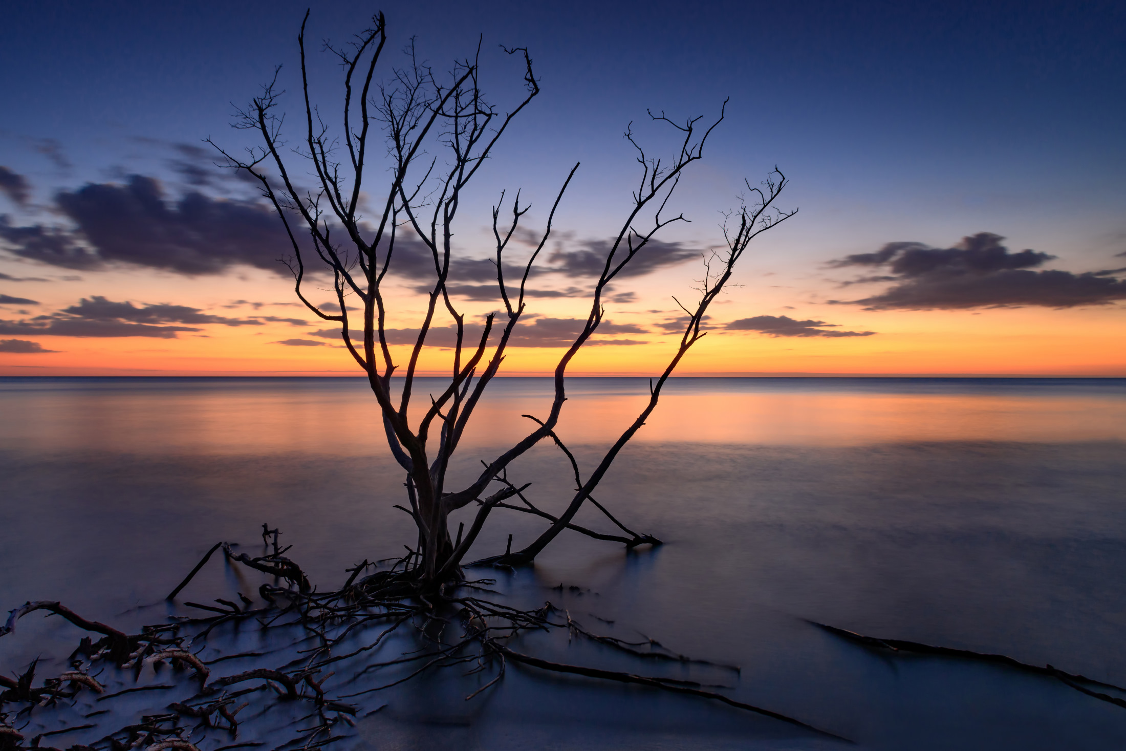 20161216-Estero    Island-0080-Edit-Ted Clone.JPG