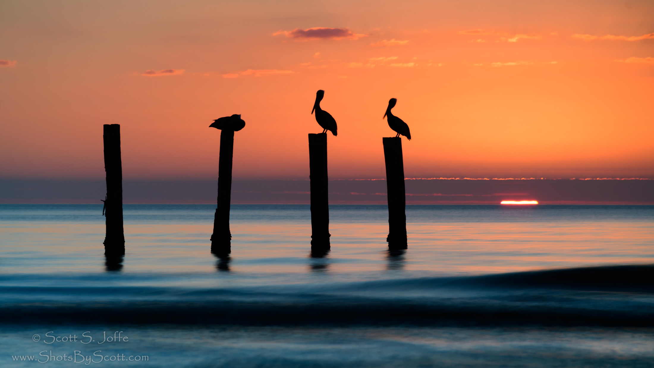 Estero Sunset
