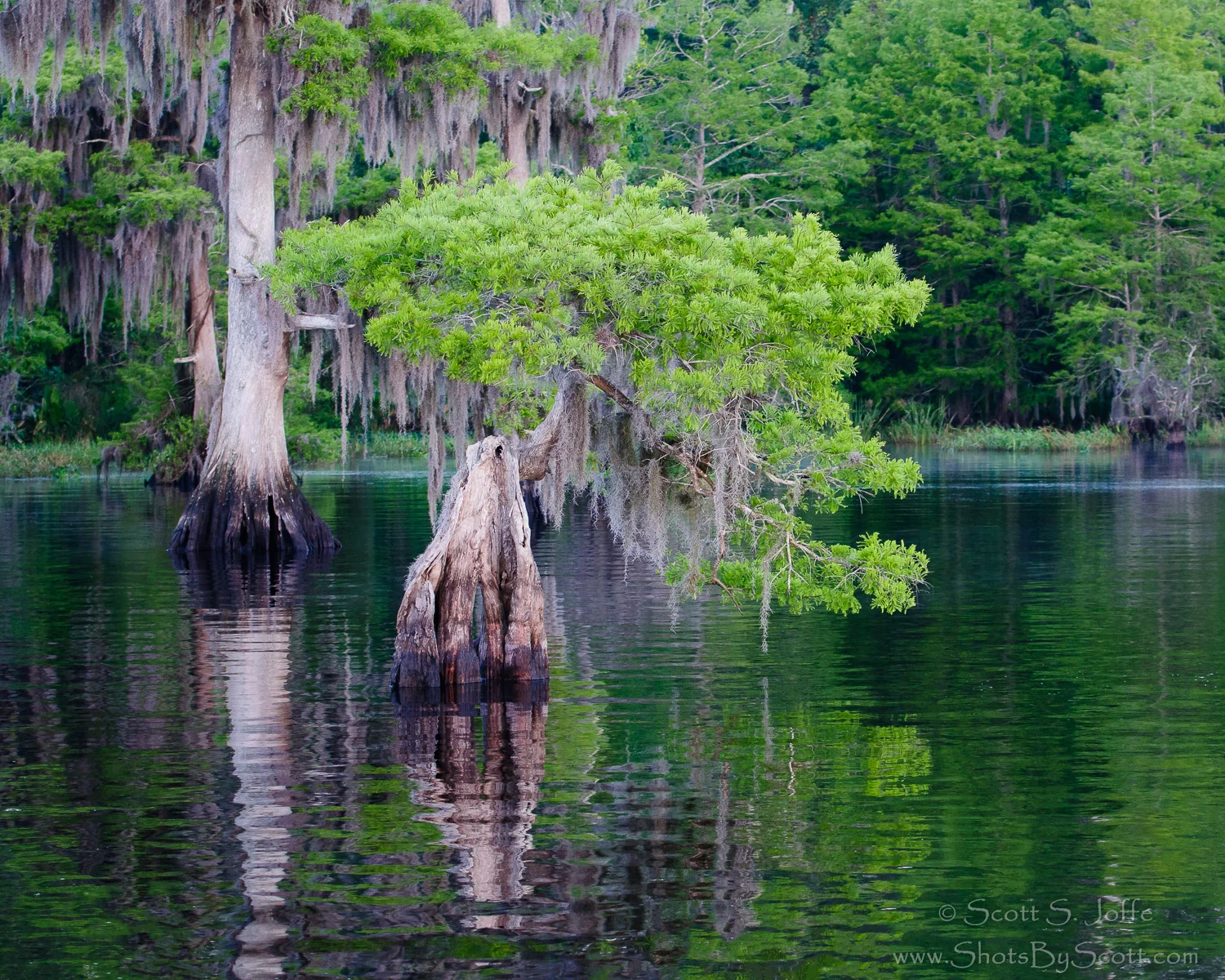 20130407-Blue Cypress Lake-0022-Edit.jpg