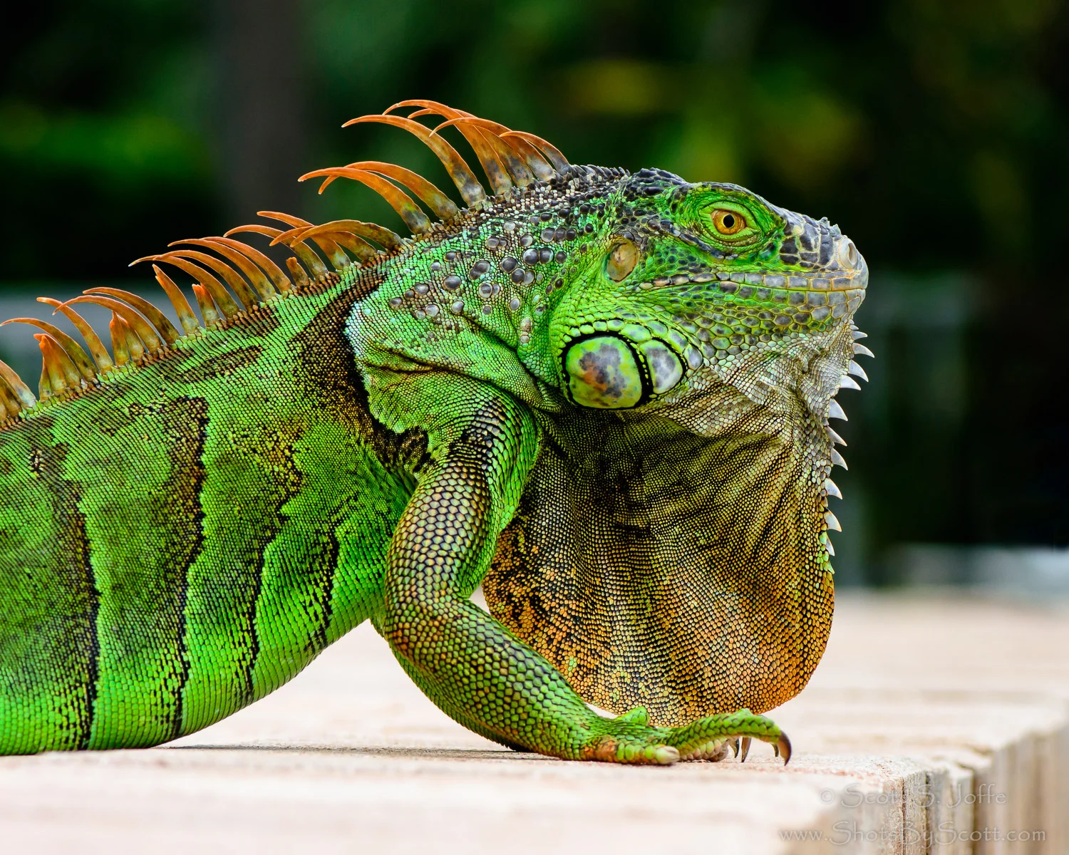20151115-November-0026-Edit-Edit.jpg