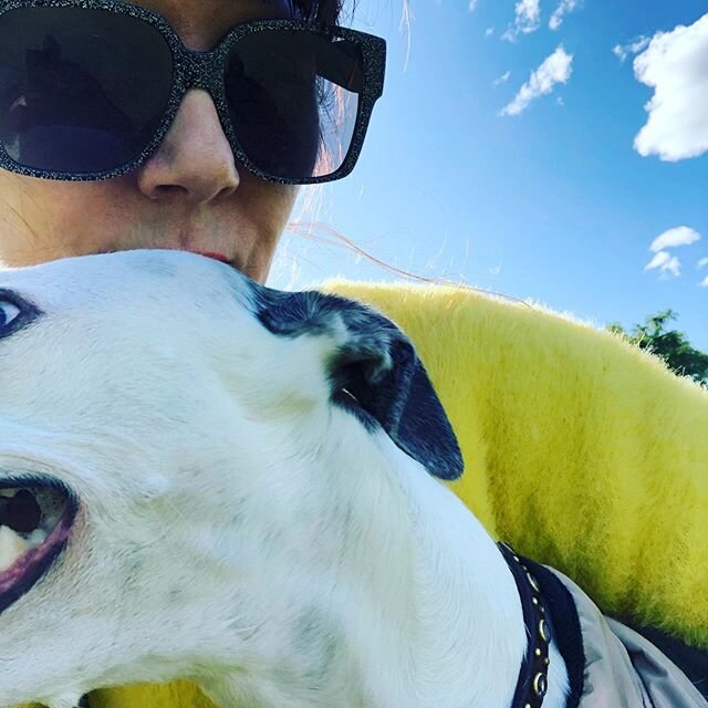 After posting a cat yesterday, for the cat people, it is only fair to post a dog today! Not easy getting a selfie with a whippet that wants to run. I am very lucky there is an old bowling green near my home that has been a brief moment of sanity for 