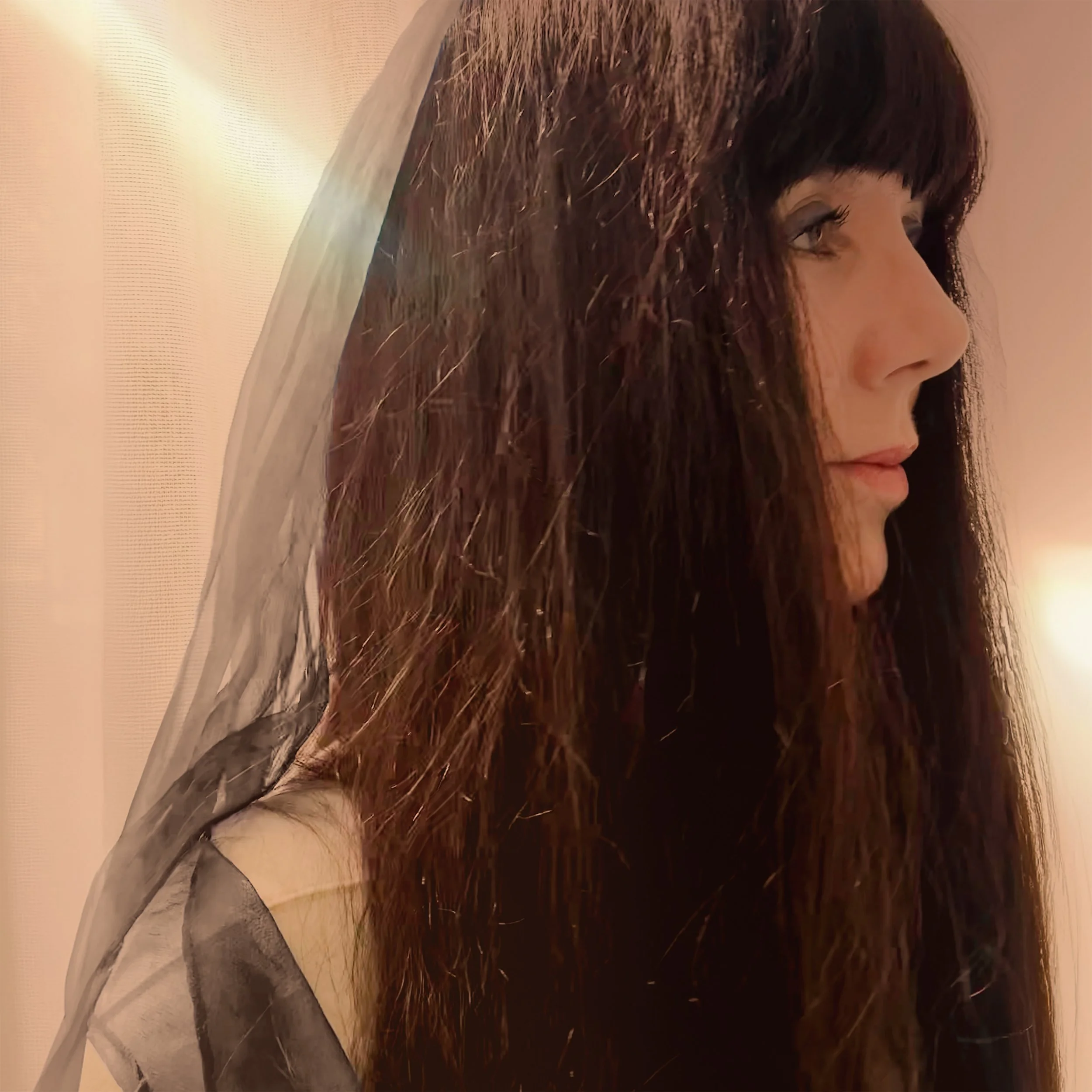 Jacqui Hunt Desiderium.jpg