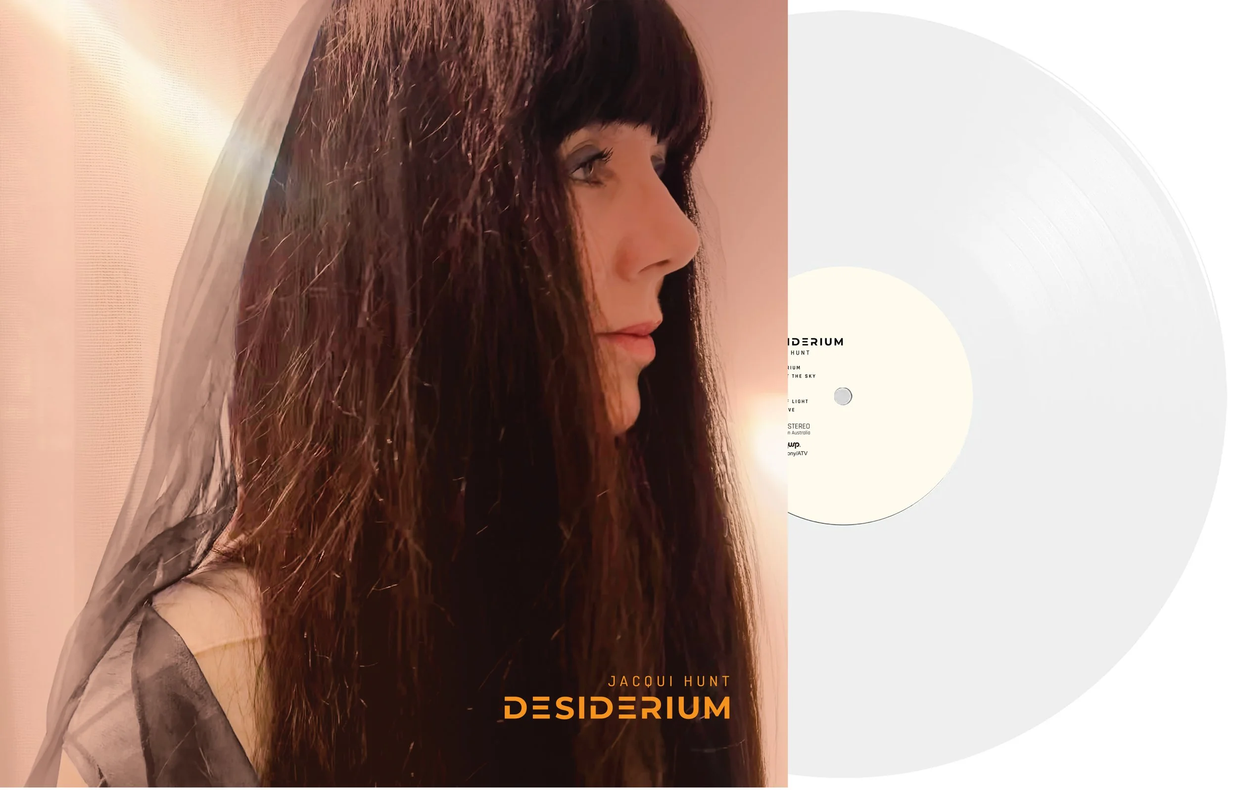 Desiderium_LP_With_Vinyl.jpg