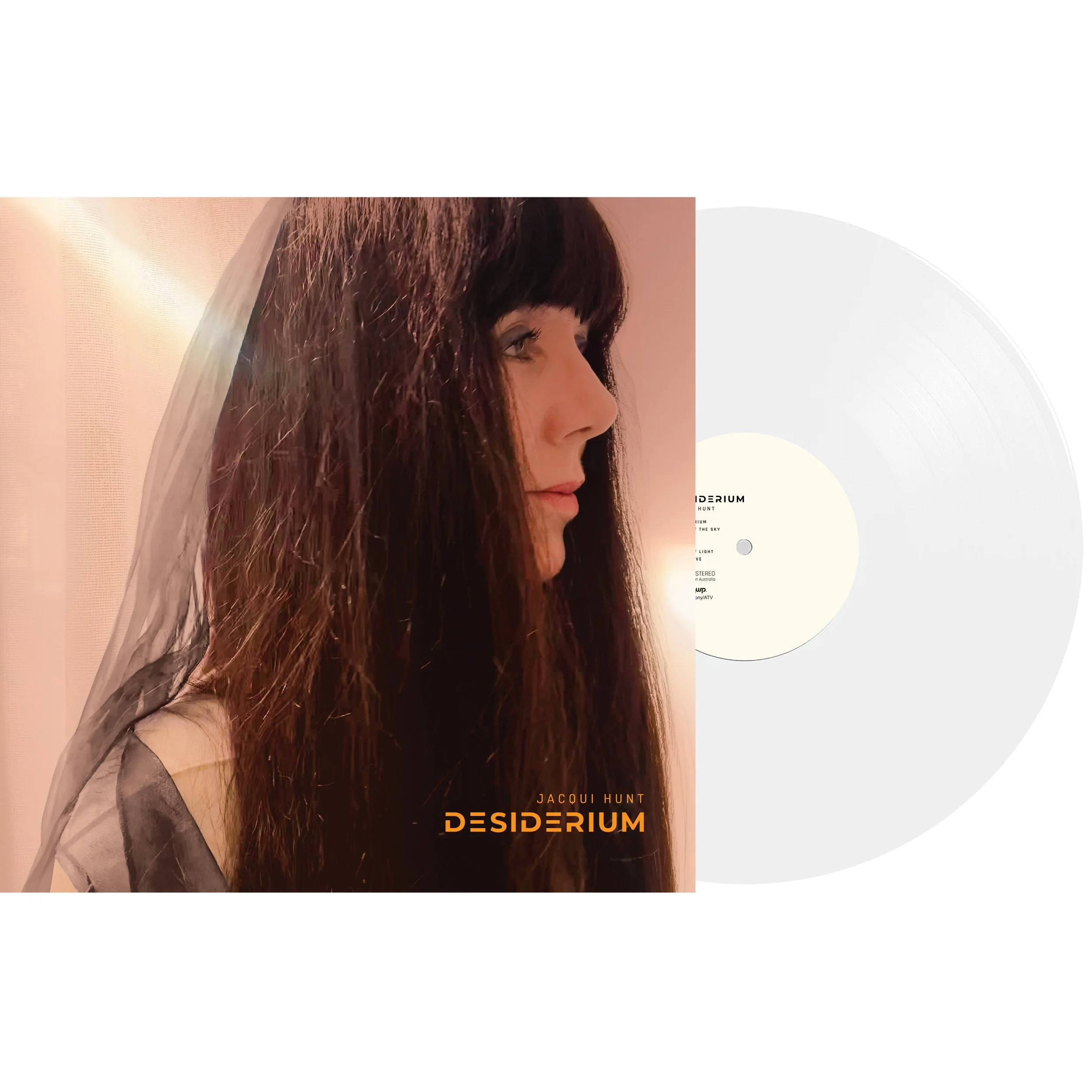 Desiderium_LP_With_Vinyl_Square.jpg