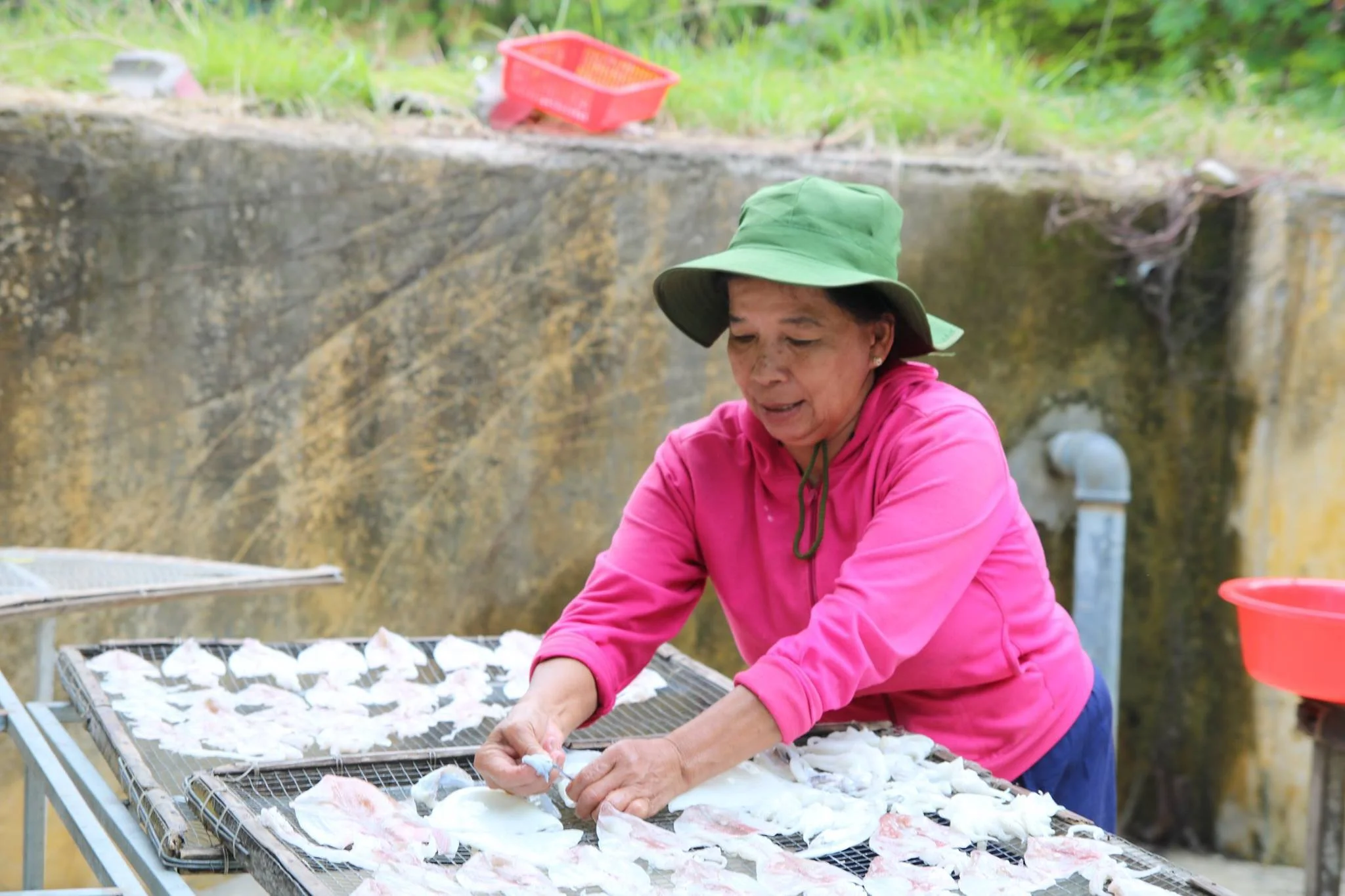 cham-island-squid.jpg
