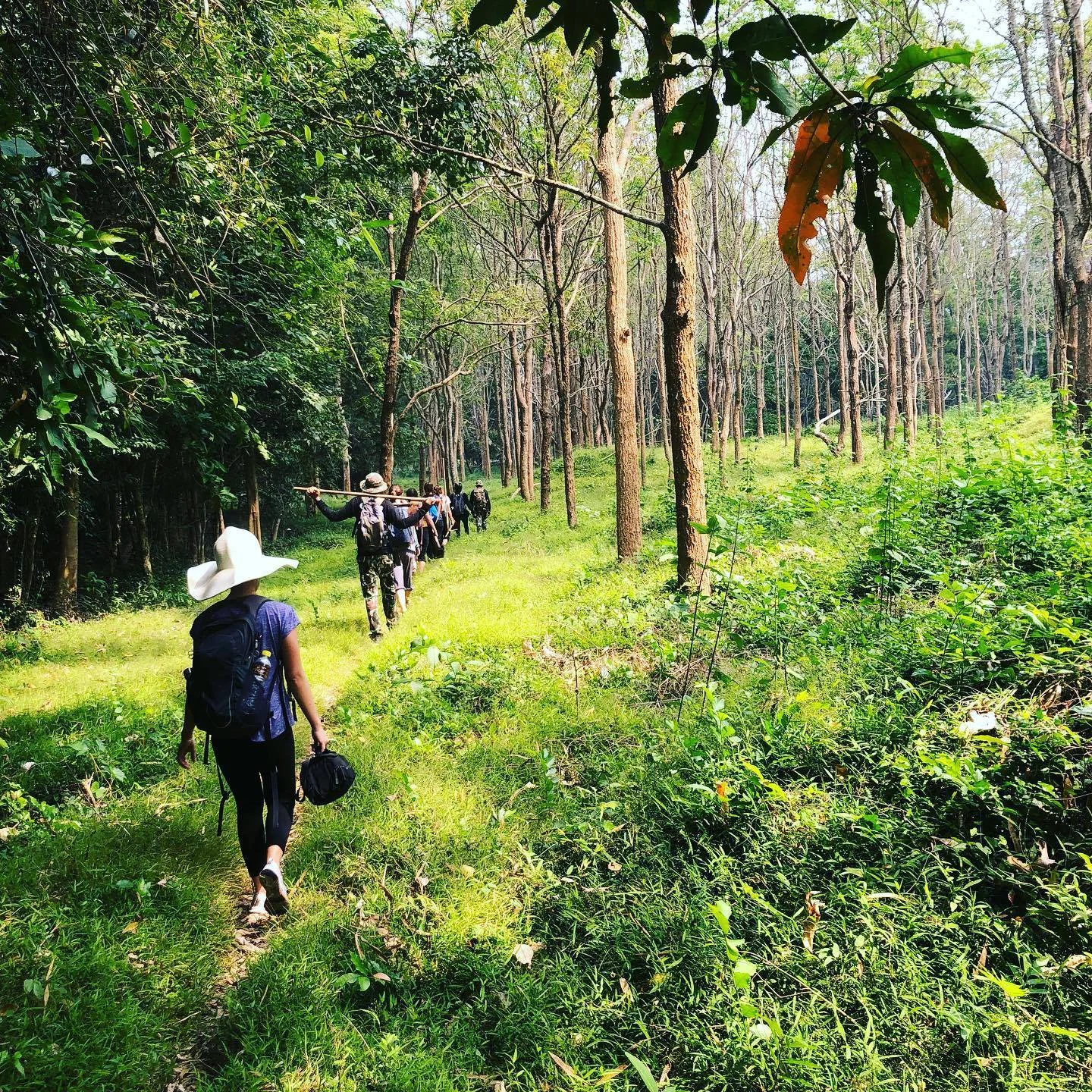 Responsible travel with elephants in Thailand