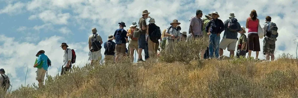 Tel-Lakhish.jpg