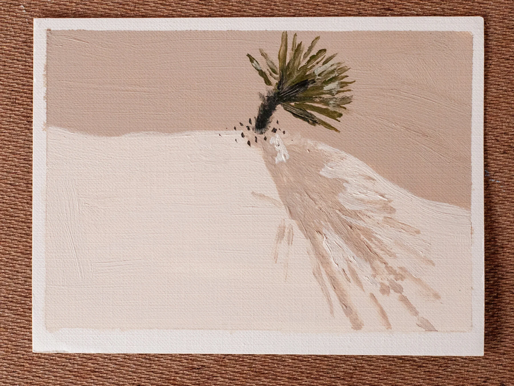 White Sands National Park Plant Study #8