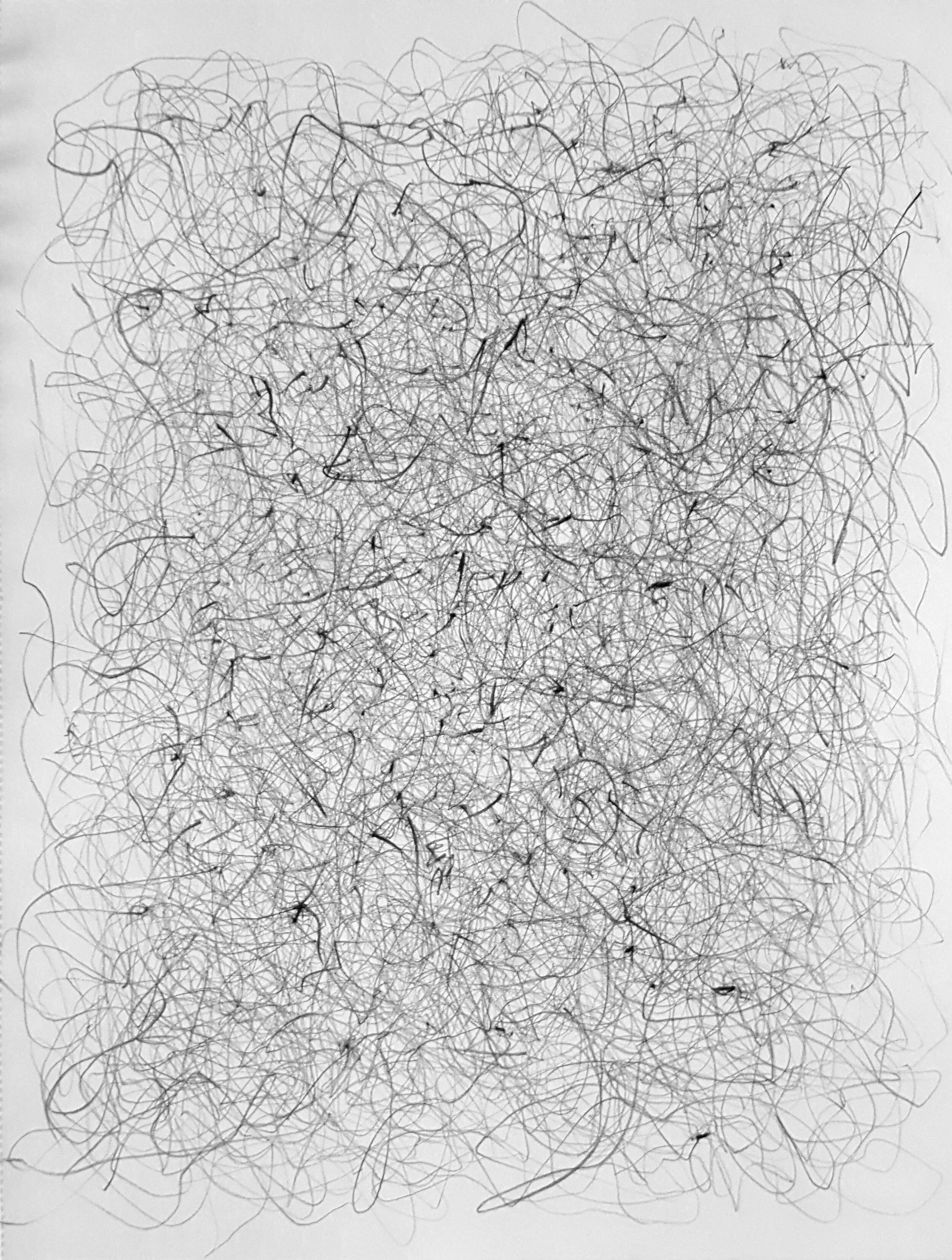 1 hour drawing made on a exercise bike (at the local YMCA)