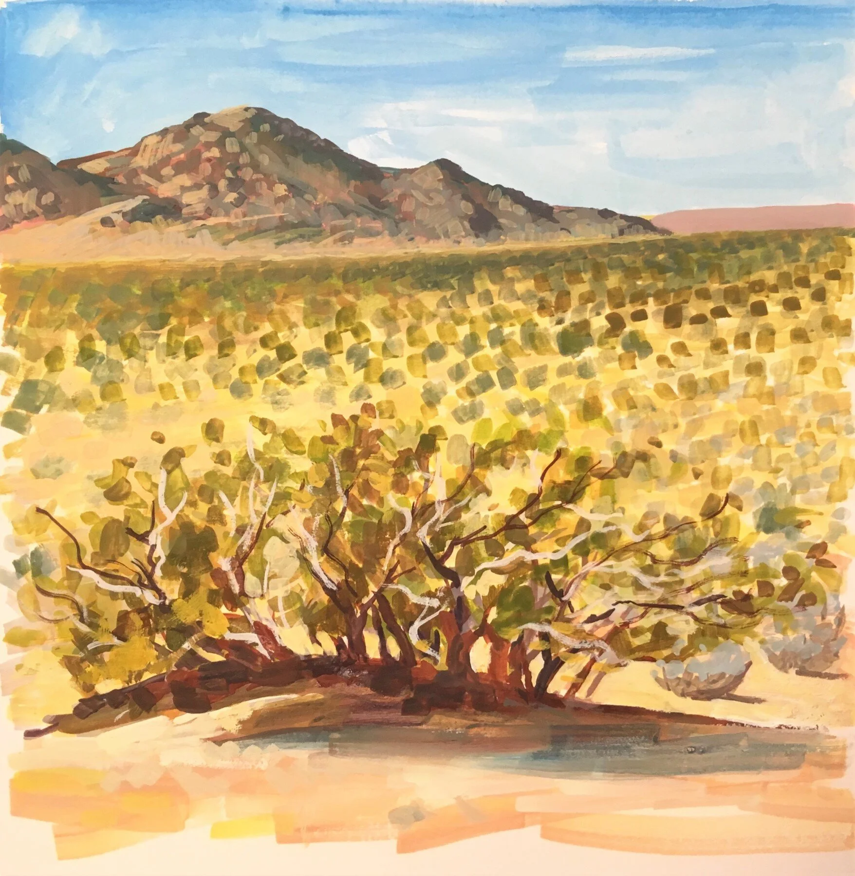 Vacation Painting #5: Joshua Tree