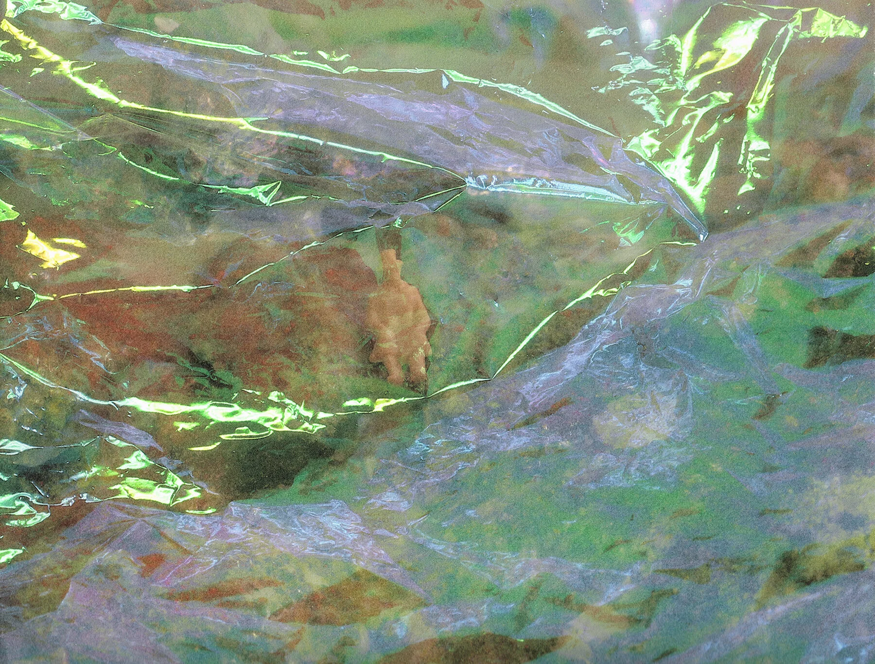 Document from the Plasticene; Figure C