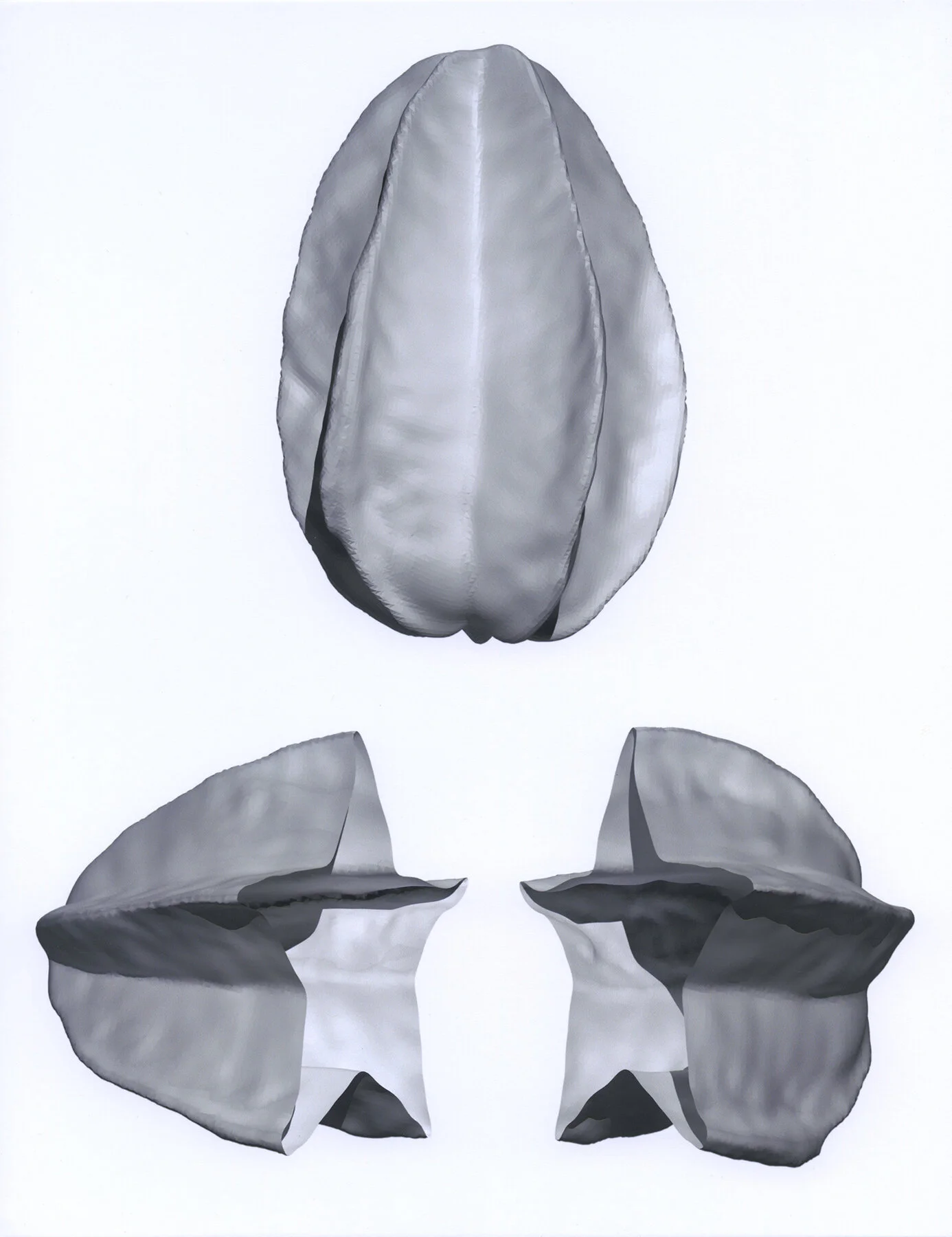 Koreshan Fruit Bowl - Hollow Carambola