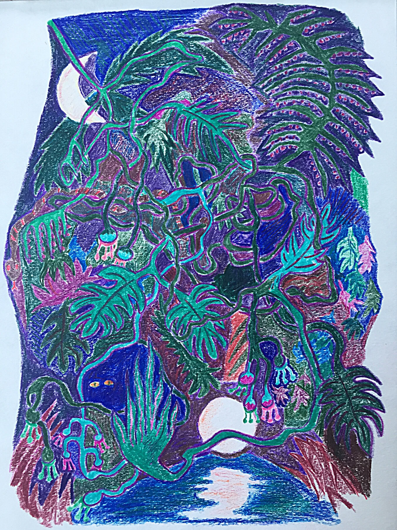 Representation of an Ant Colony 2018-52